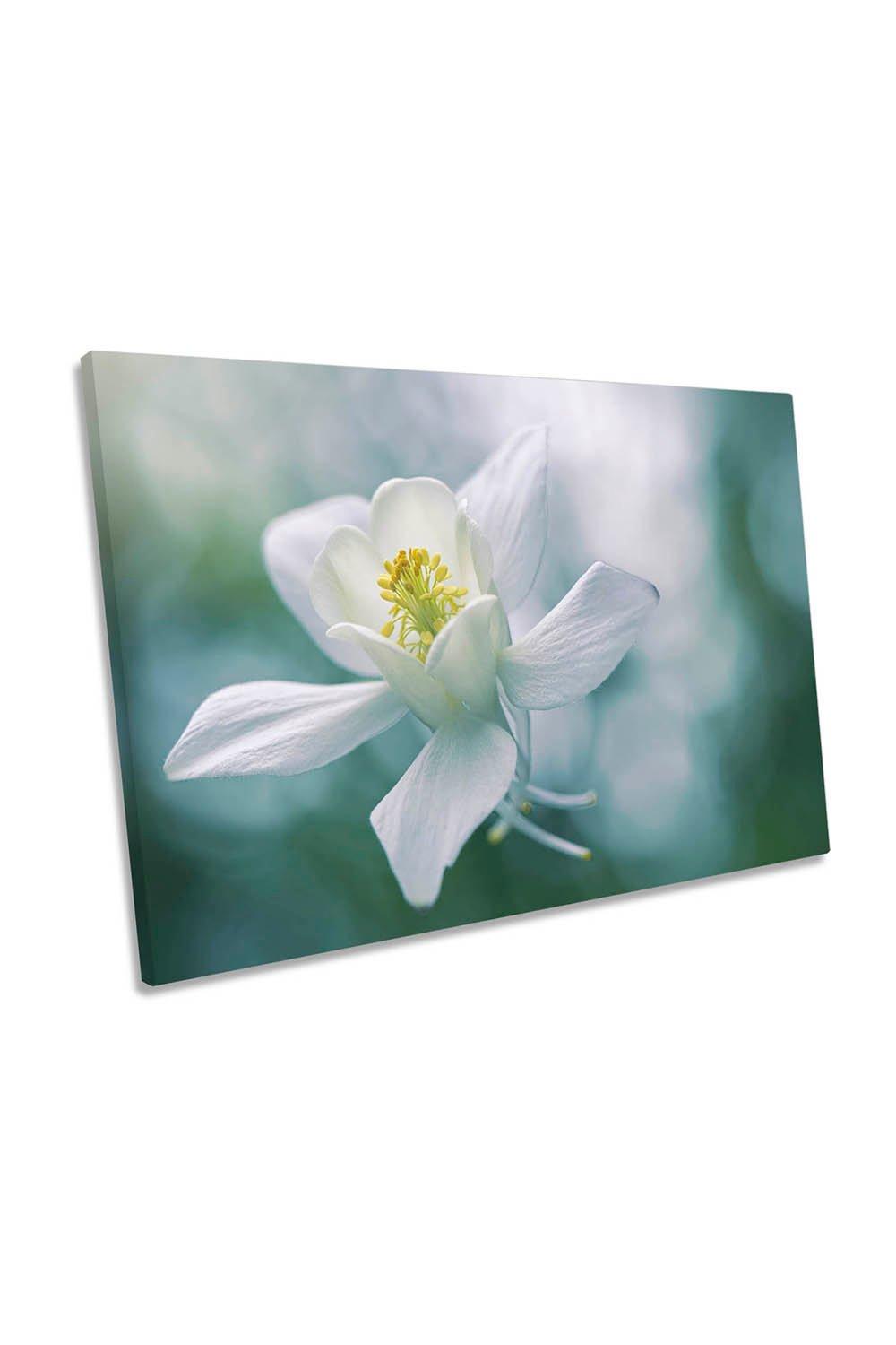 Purity White Flower Petals Canvas Wall Art Picture Print