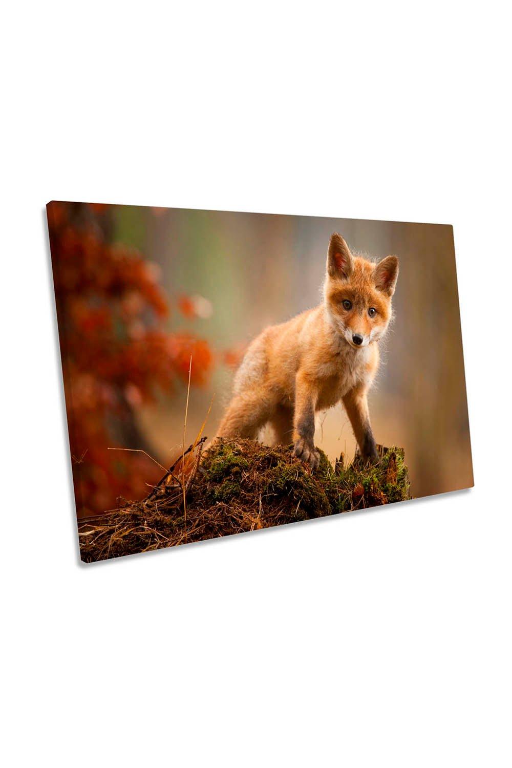 Baby Fox Animal Autumn Canvas Wall Art Picture Print
