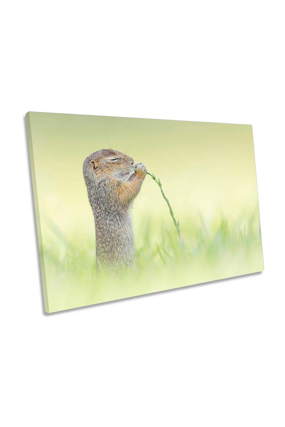 Cute Squirrel Smelling Flower Green Canvas Wall Art Picture Print