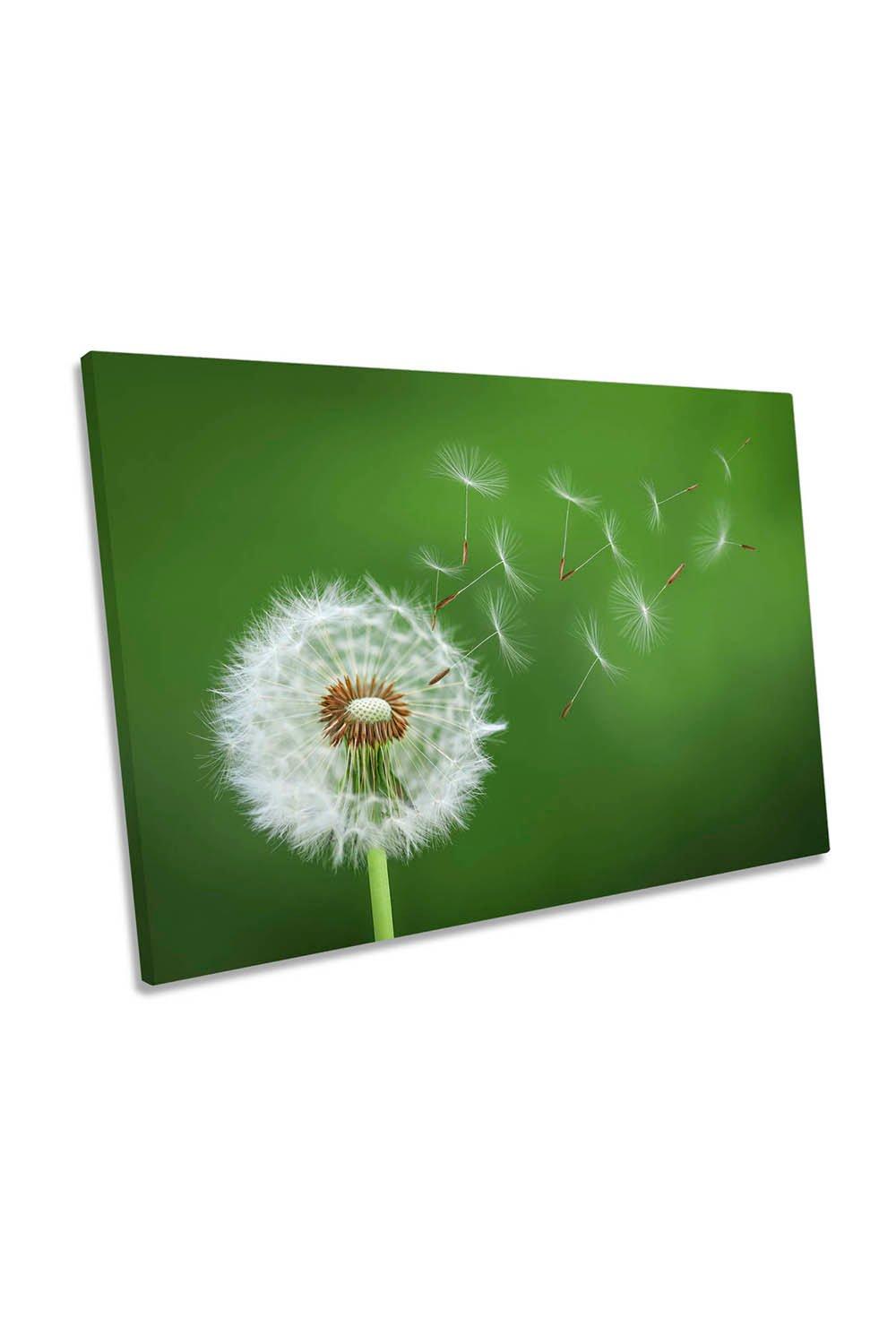 Dandelion Blowing Green Floral Canvas Wall Art Picture Print