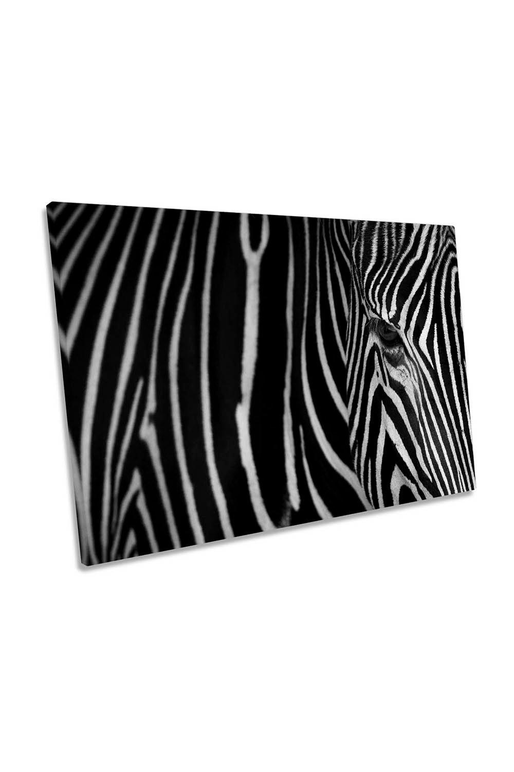 Zebra Stripes Animal Canvas Wall Art Picture Print