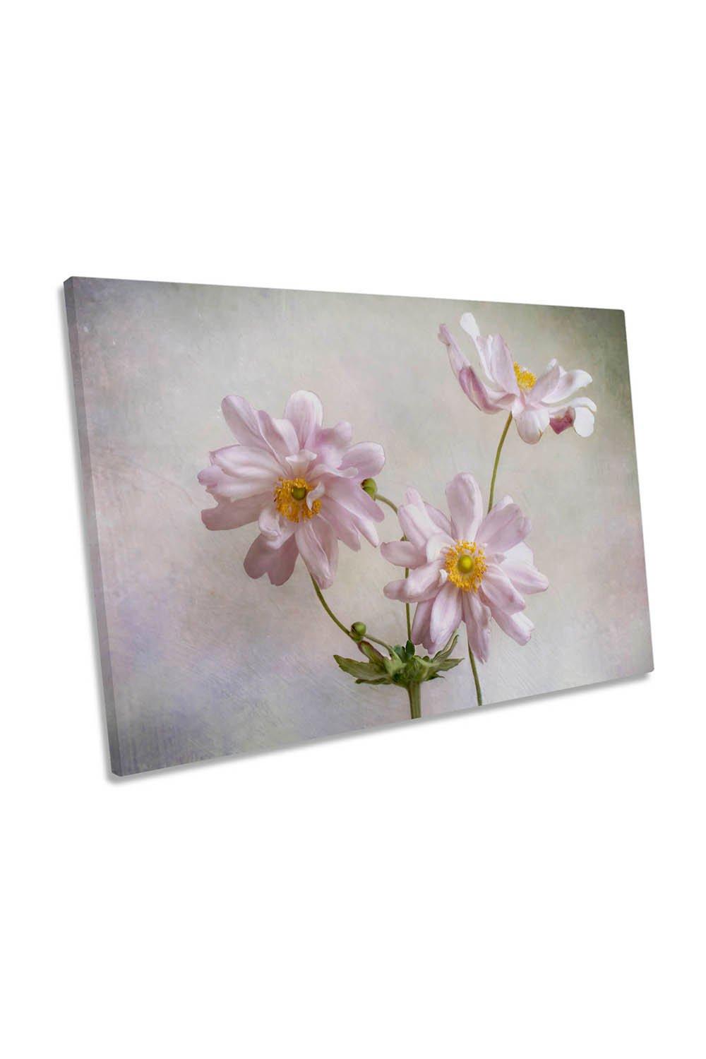 Anemones Floral Flowers Pink Canvas Wall Art Picture Print