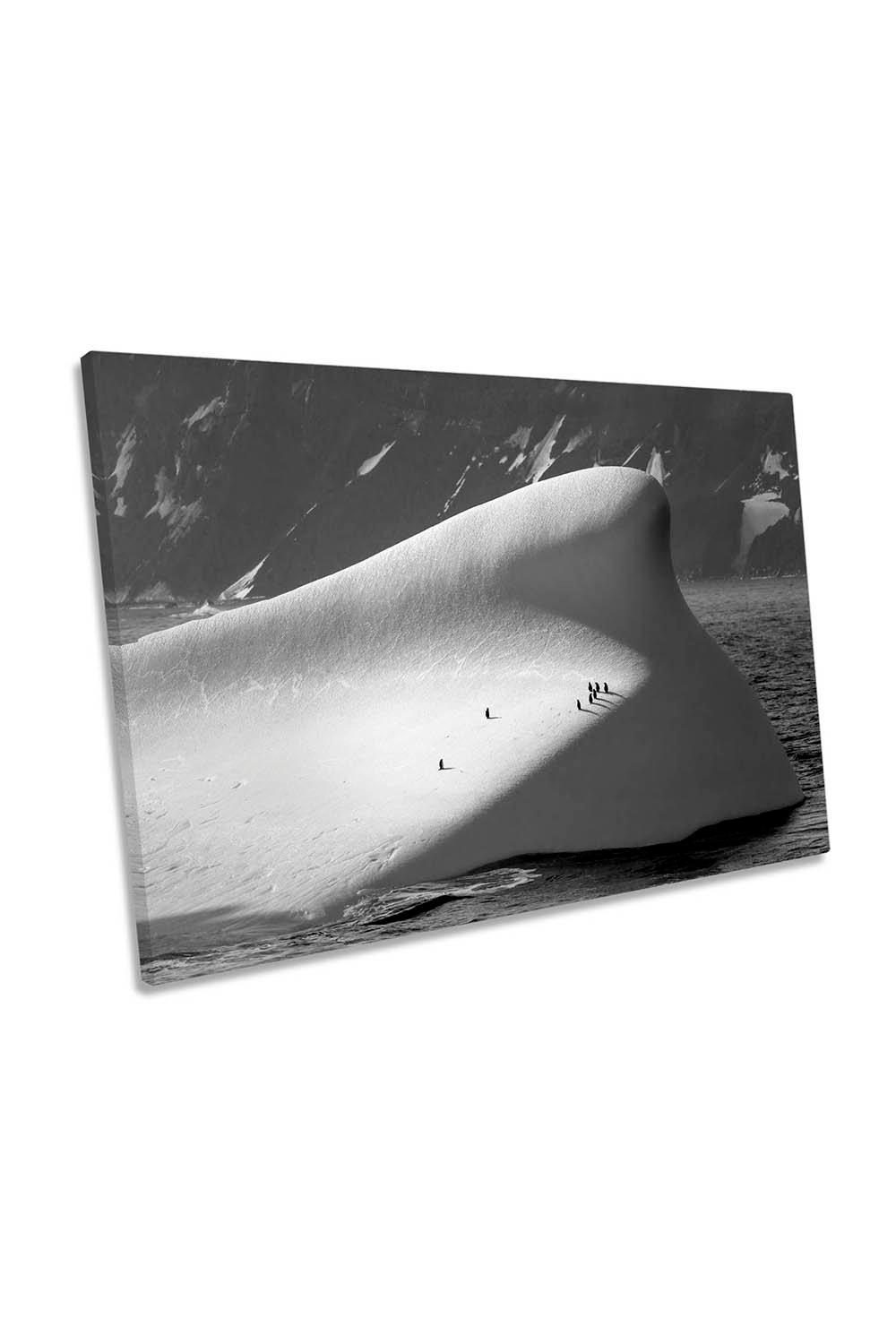 Penguin Carrier Iceberg Canvas Wall Art Picture Print
