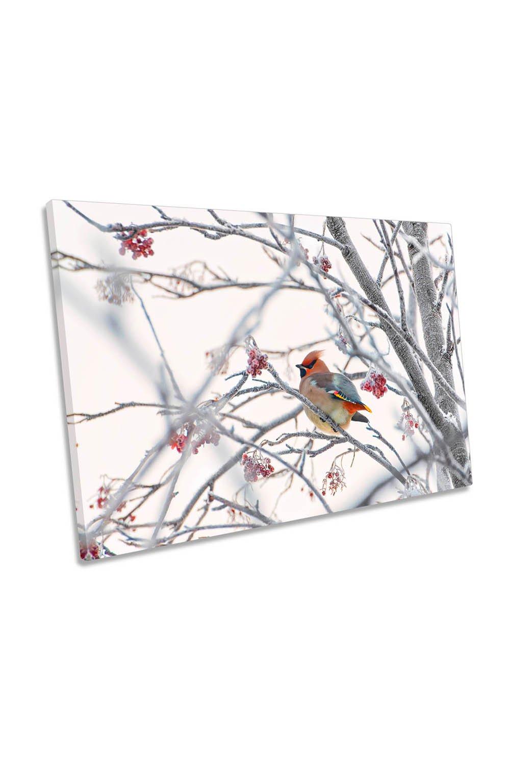 Waxwing Bird Winter Frost Canvas Wall Art Picture Print