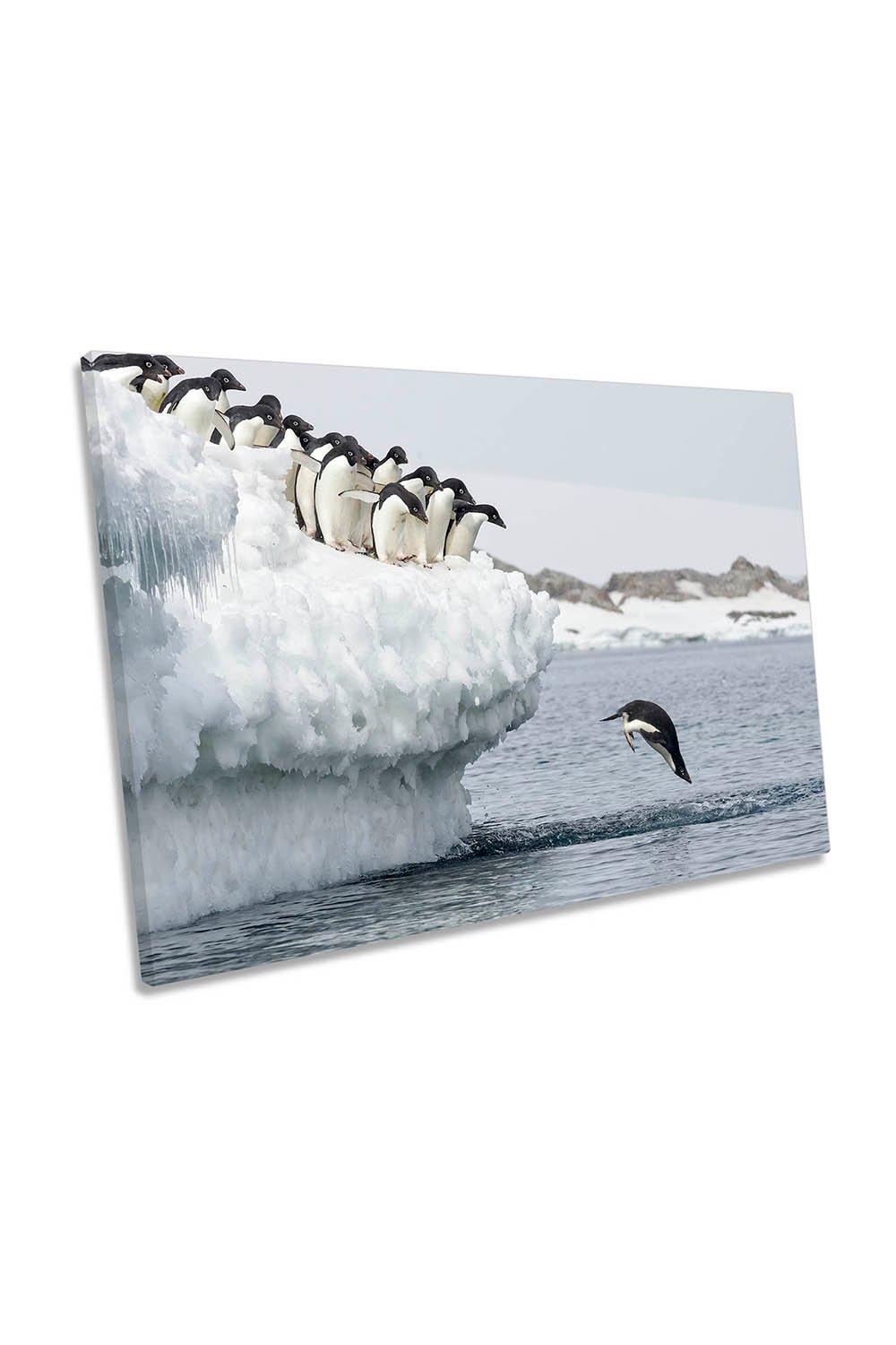 Penguin Splash Dive Wildlife Canvas Wall Art Picture Print