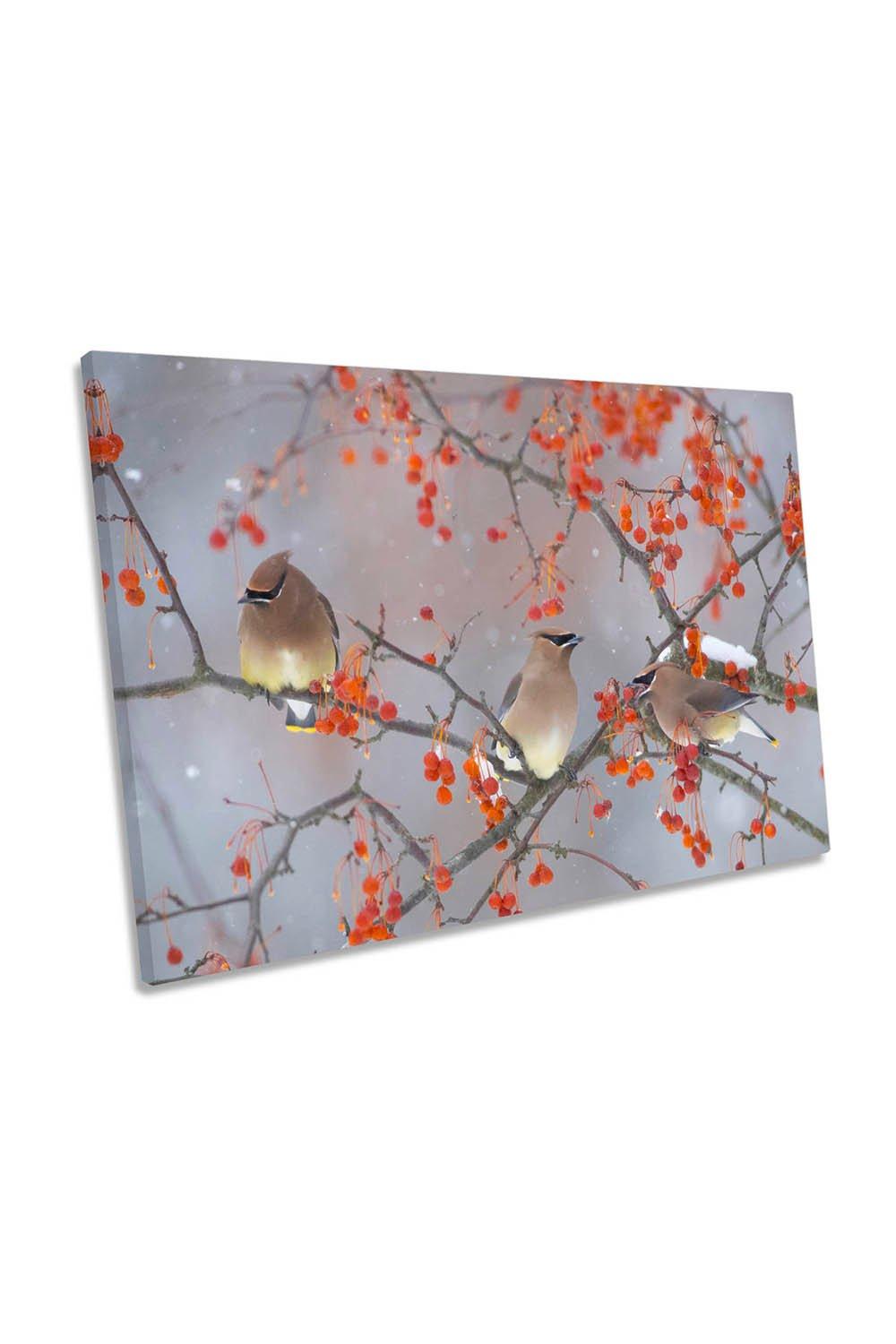 Birds in a Red Tree Branch Canvas Wall Art Picture Print