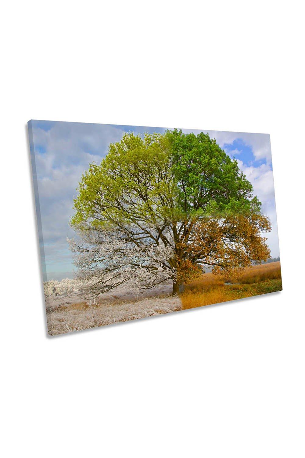 Oak Tree in Four Seasons Floral Canvas Wall Art Picture Print