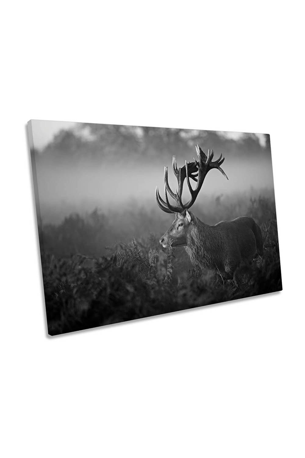 Stag Antlers Deer Black and White Canvas Wall Art Picture Print
