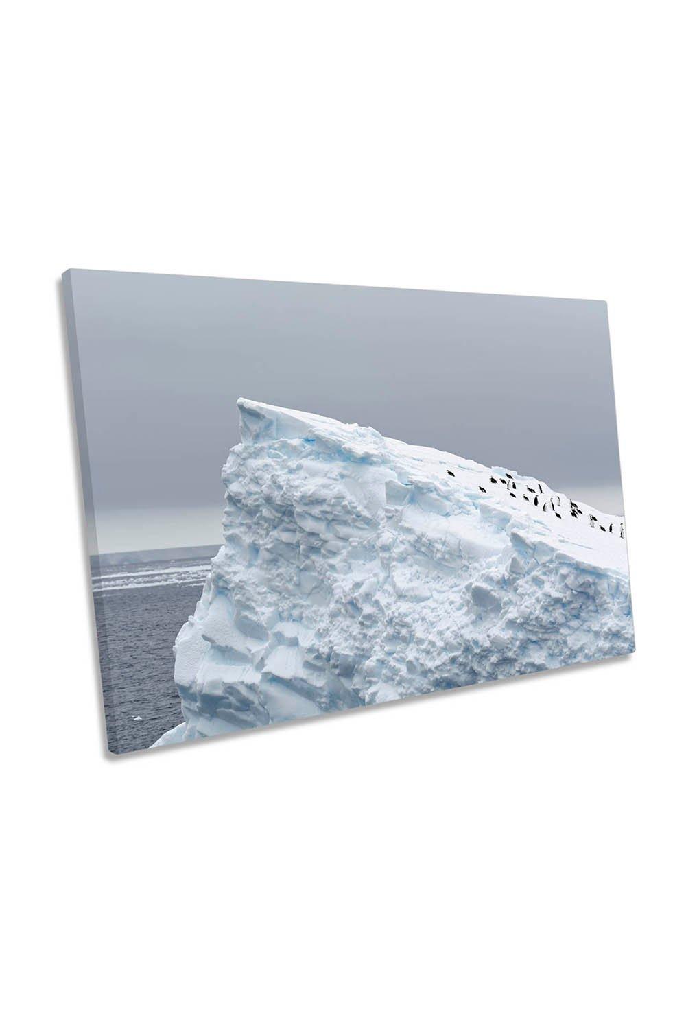 The Giant Slide Penguins Iceberg Canvas Wall Art Picture Print