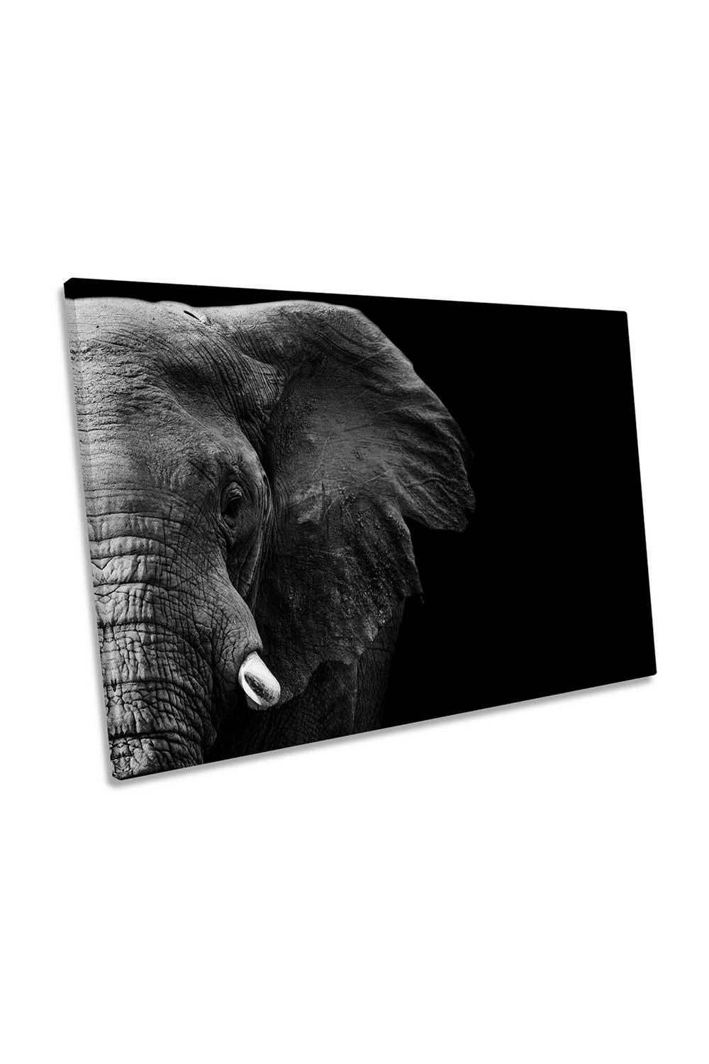 Elephant Low Key Black Canvas Wall Art Picture Print
