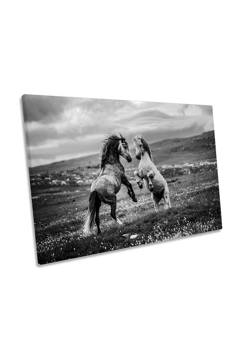 Wild and Free Horses Canvas Wall Art Picture Print