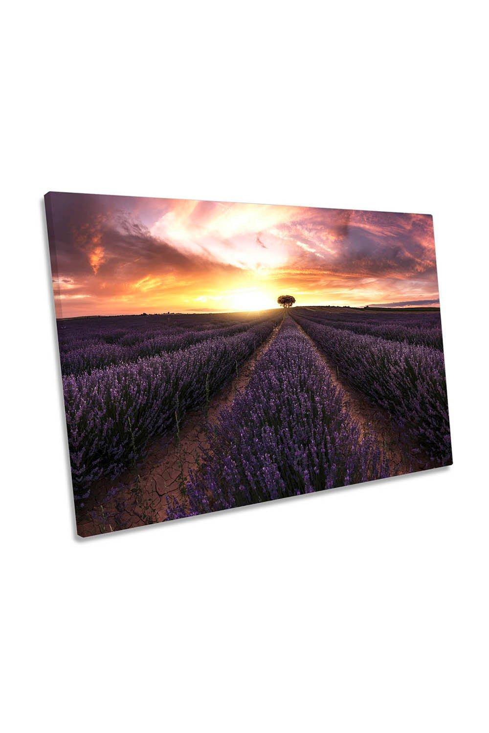 Purple Lavender Field Sunset Floral Canvas Wall Art Picture Print