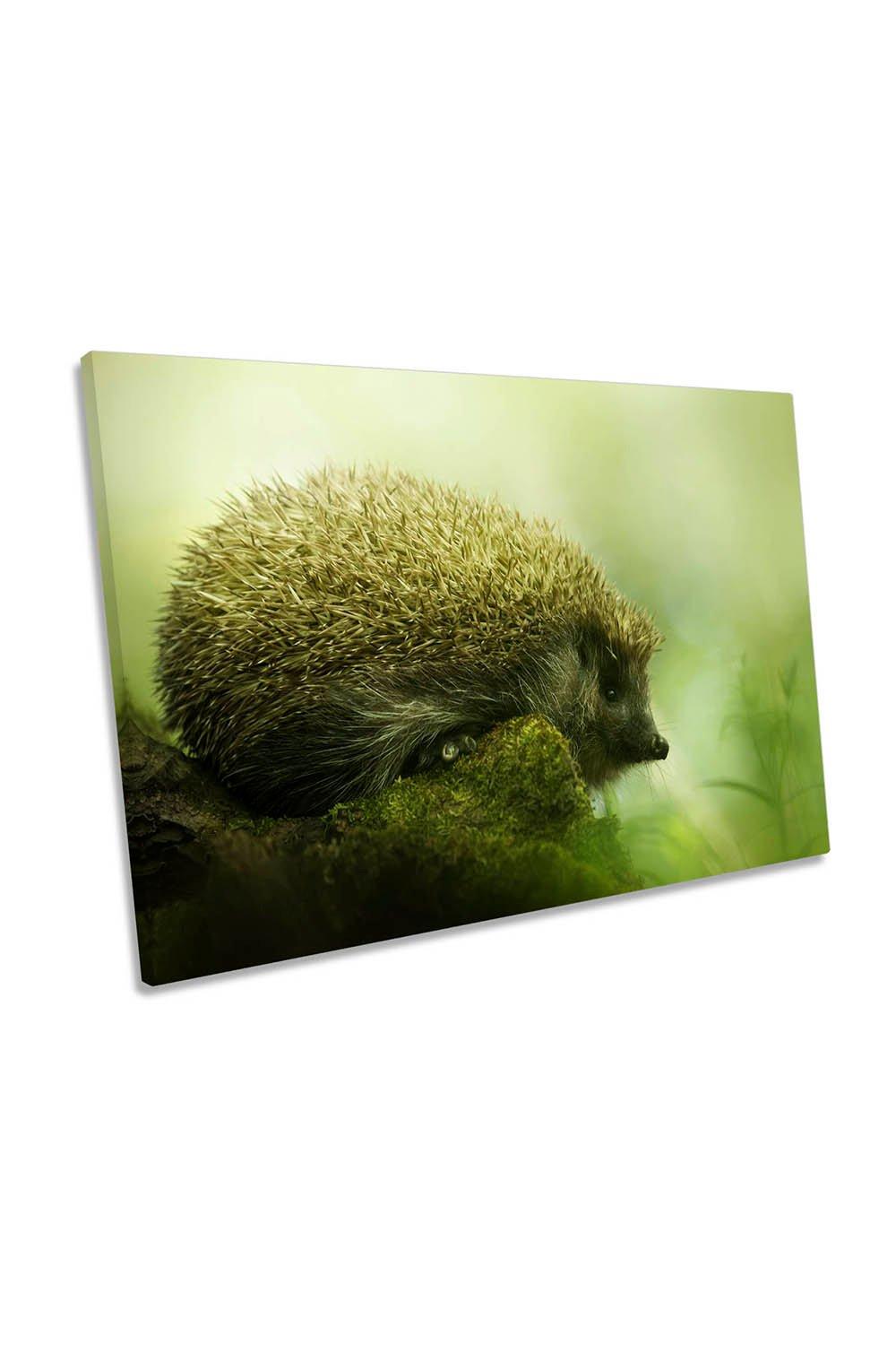 Hedgehog Misty Green Forest Canvas Wall Art Picture Print