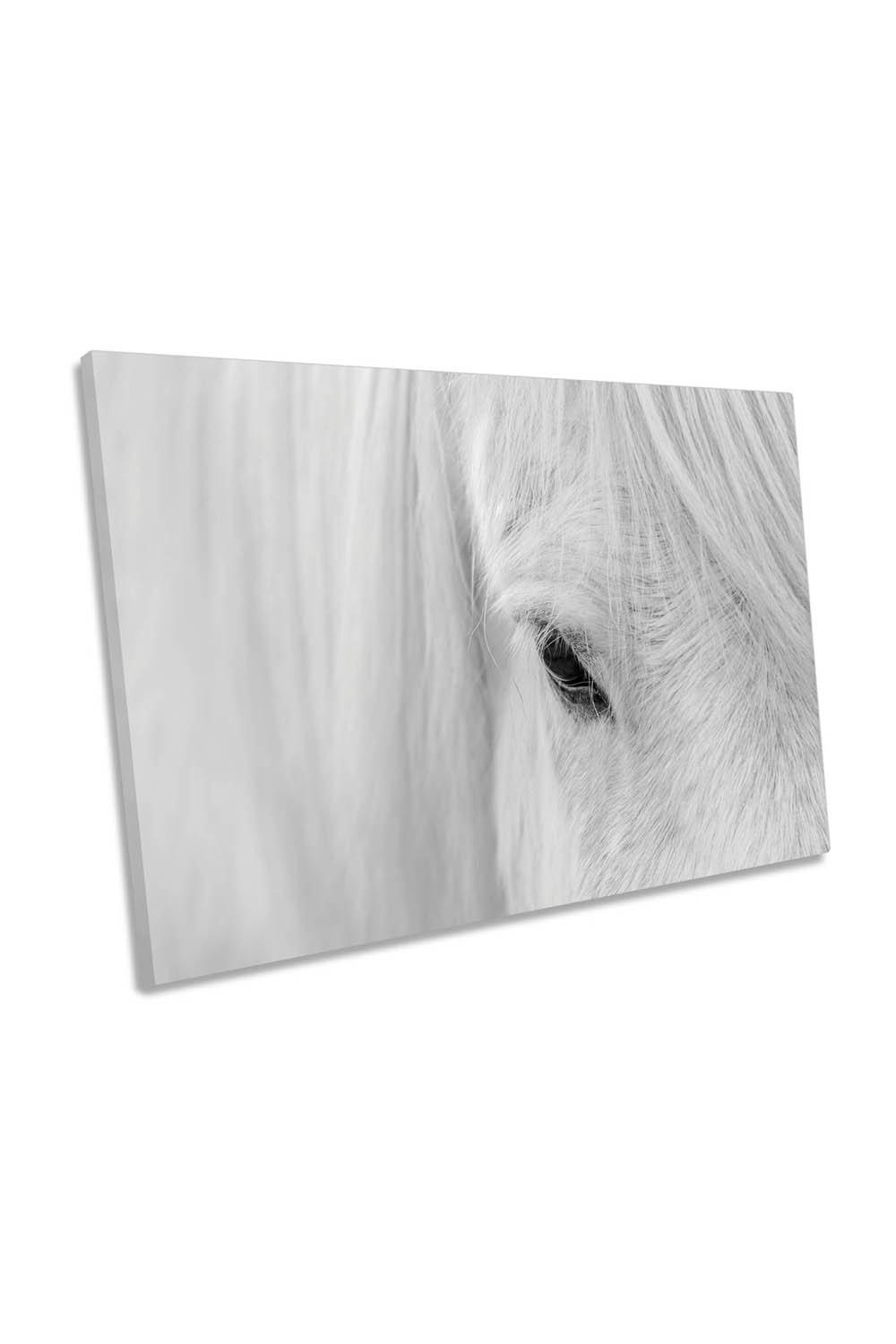 Whisper of Iceland Horse Canvas Wall Art Picture Print