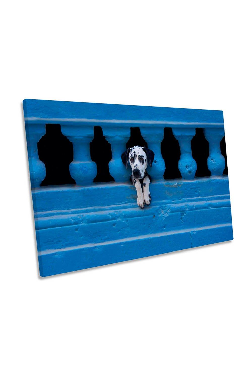 Cuban Dog Relaxing Blue Canvas Wall Art Picture Print
