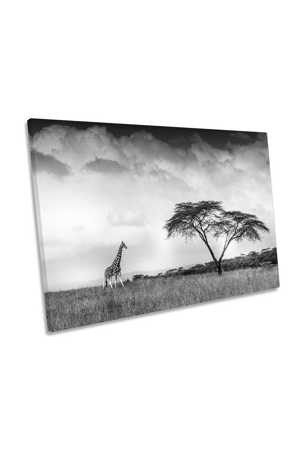 And I Dreamed of Africa Giraffe Canvas Wall Art Picture Print