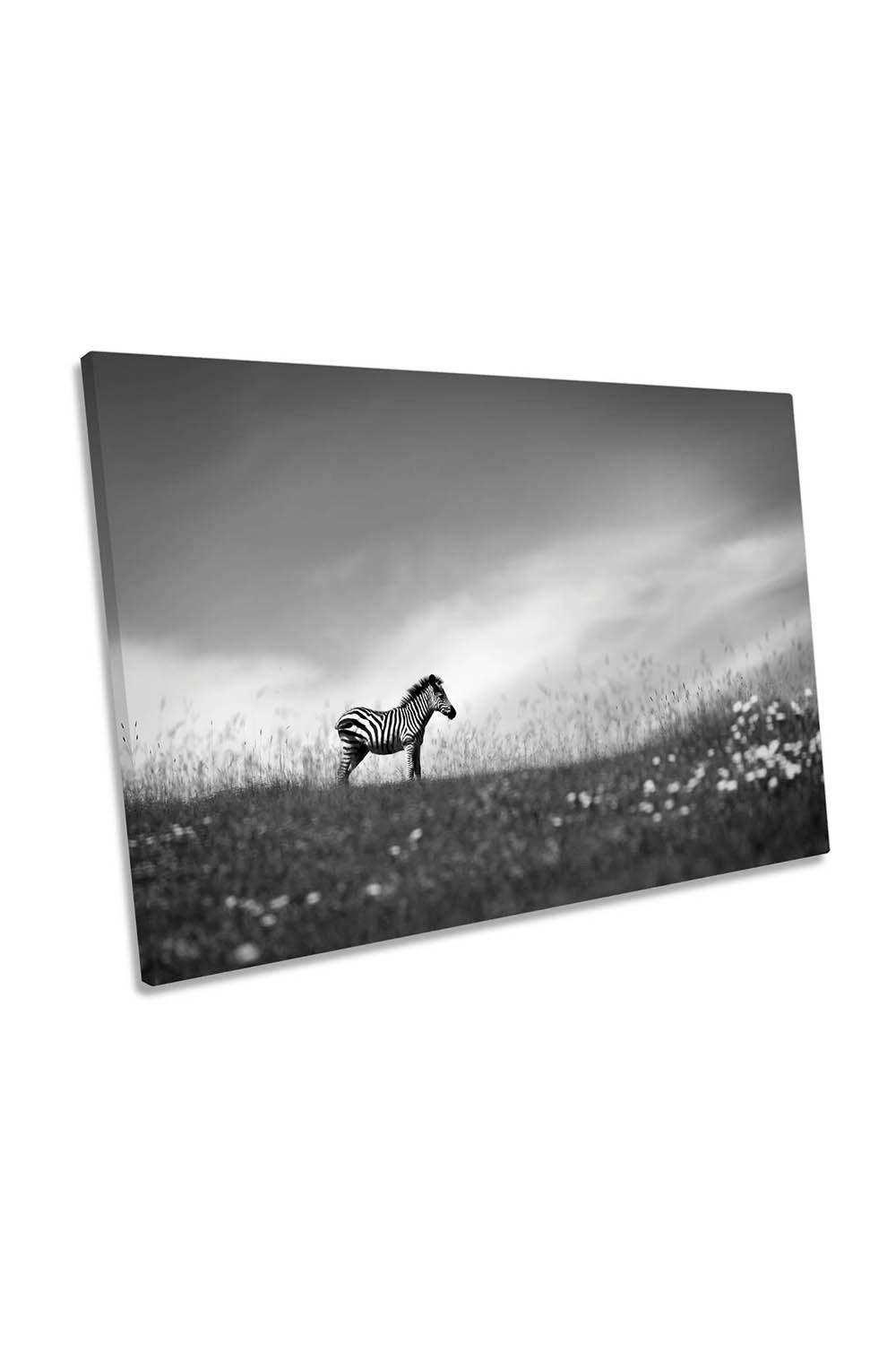 Zebra Stands on the Hill Wildlife Canvas Wall Art Picture Print