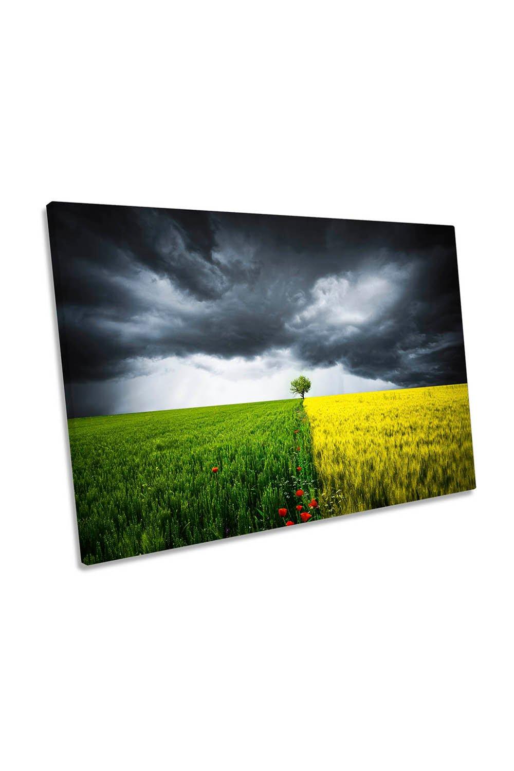 Stormy Lonely Tree Landscape Seasons Canvas Wall Art Picture Print