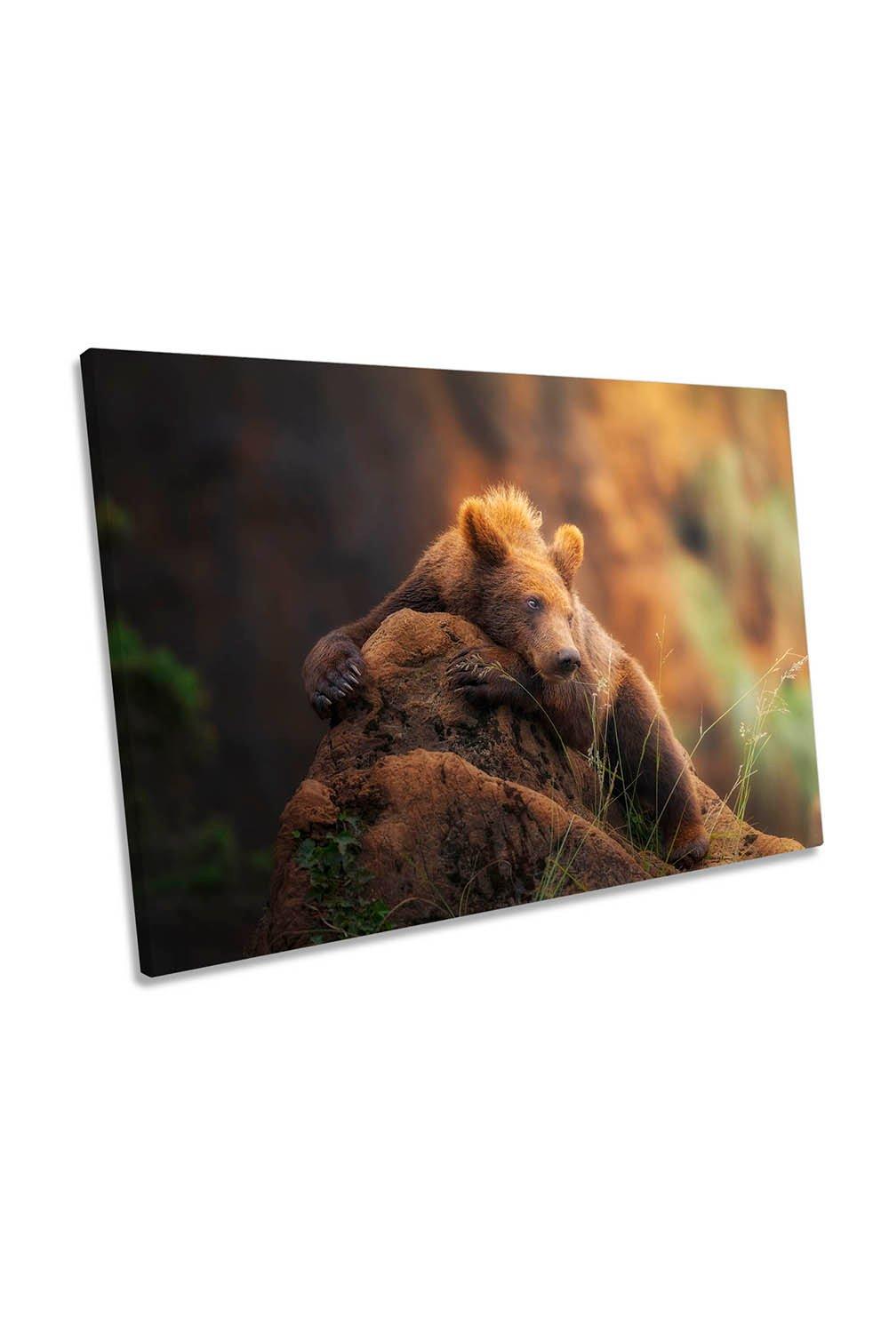 Baby Brown Grizzly Bear Canvas Wall Art Picture Print