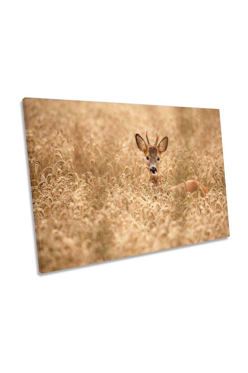 Deer in the Field Wildlife Canvas Wall Art Picture Print