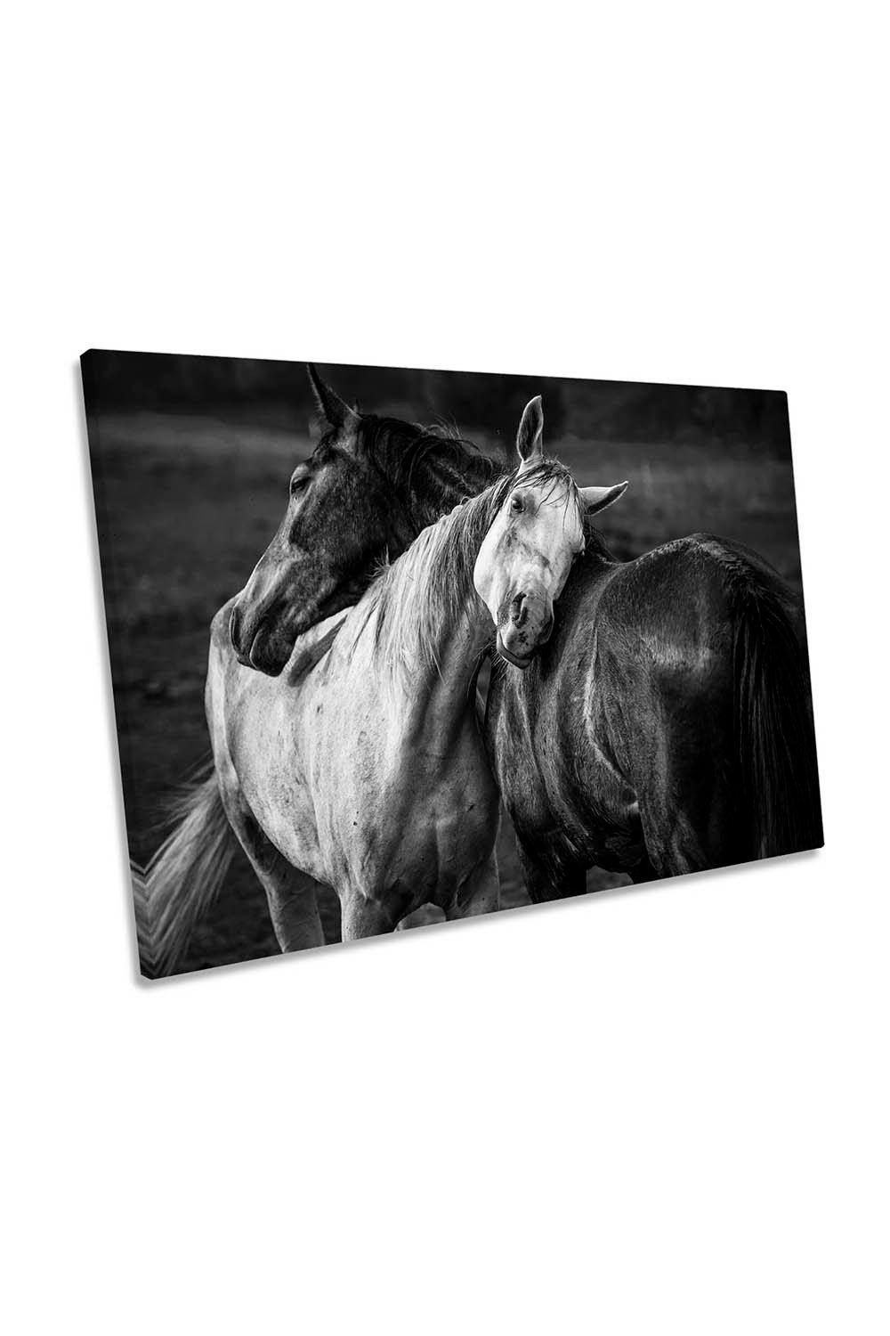 Horses Friendship Family Black and White Canvas Wall Art Picture Print