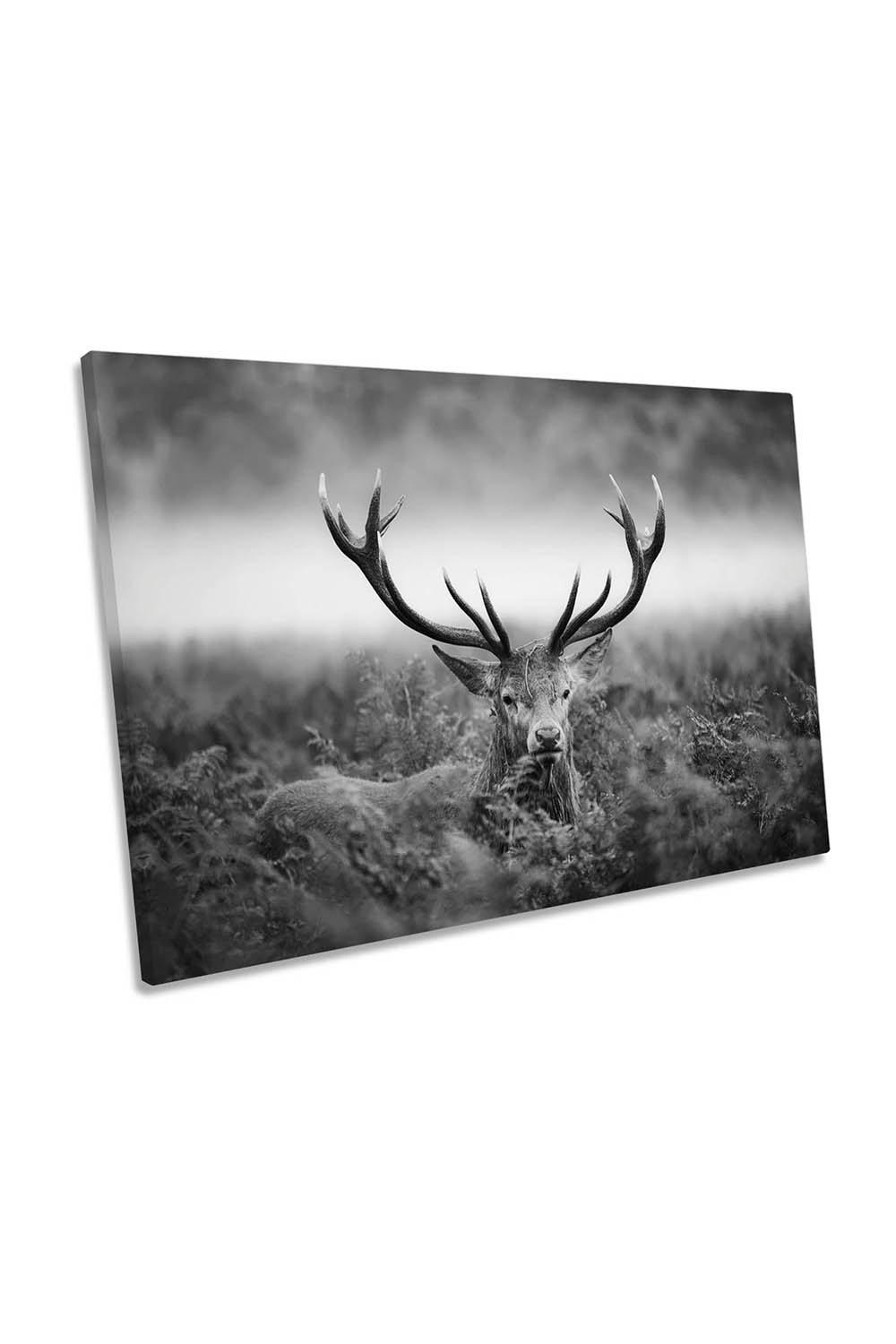 Wild Stag Antlers Black and White Deer Canvas Wall Art Picture Print