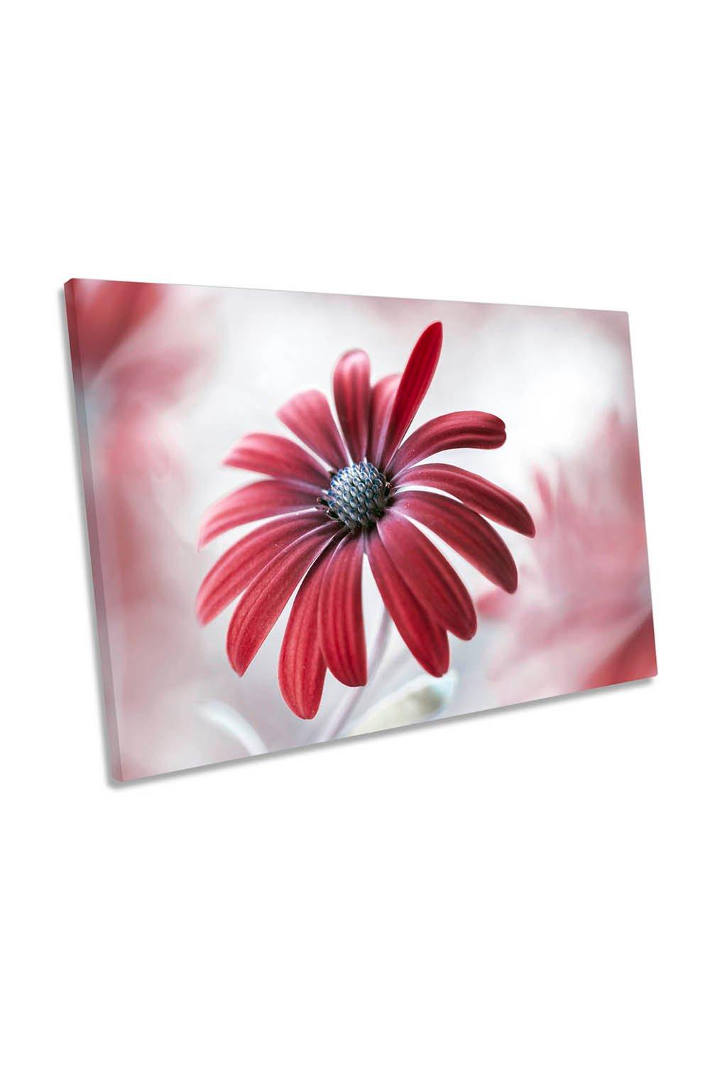 Red Daisy Flower Floral Canvas Wall Art Picture Print