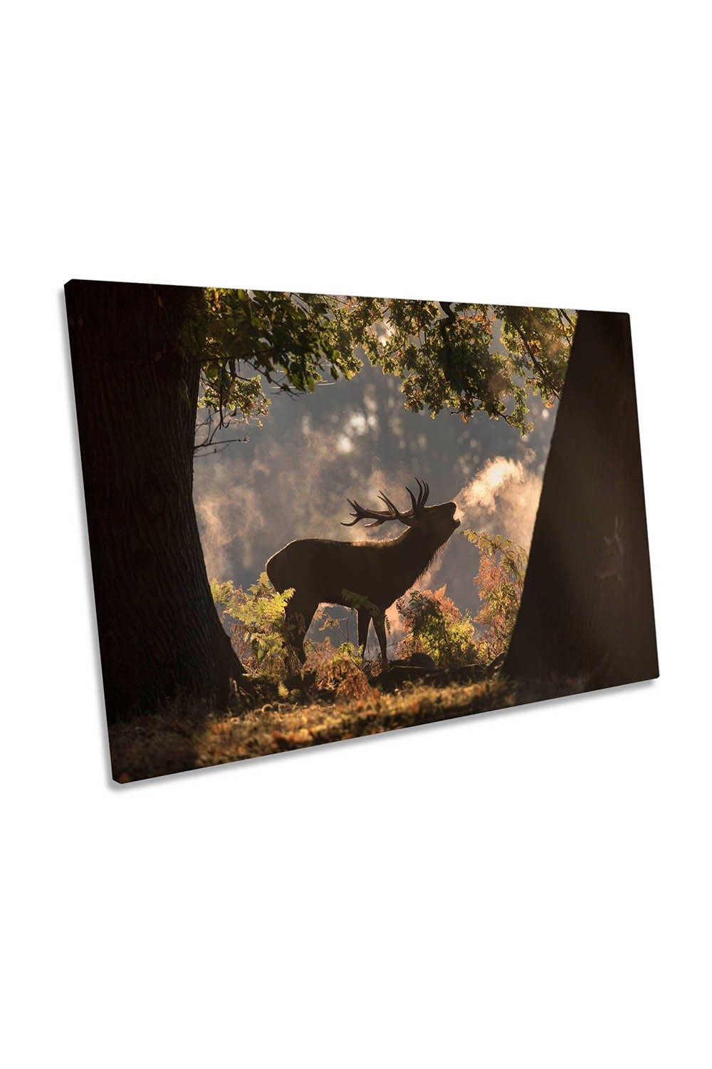 He Waits in the Shadows Stag Wildlife Canvas Wall Art Picture Print