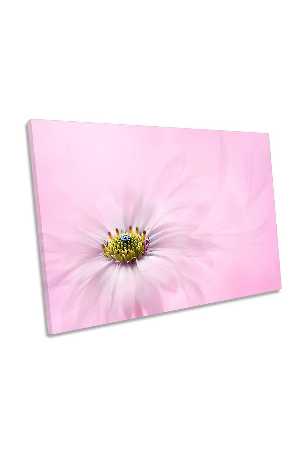 Softness Flower Floral Pink Canvas Wall Art Picture Print