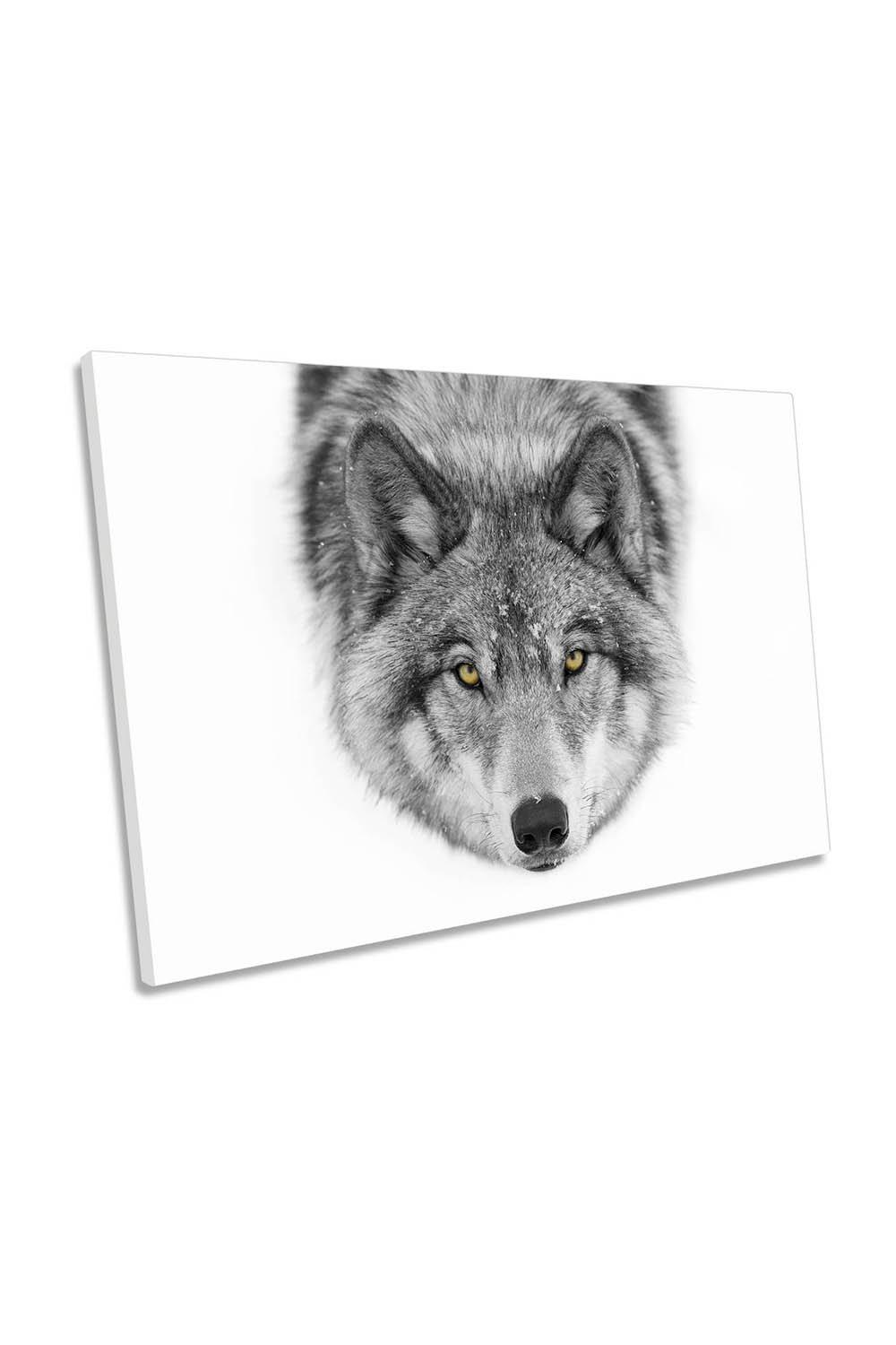 Yellow Eyes Timber Wolf Snow Wildlife Canvas Wall Art Picture Print