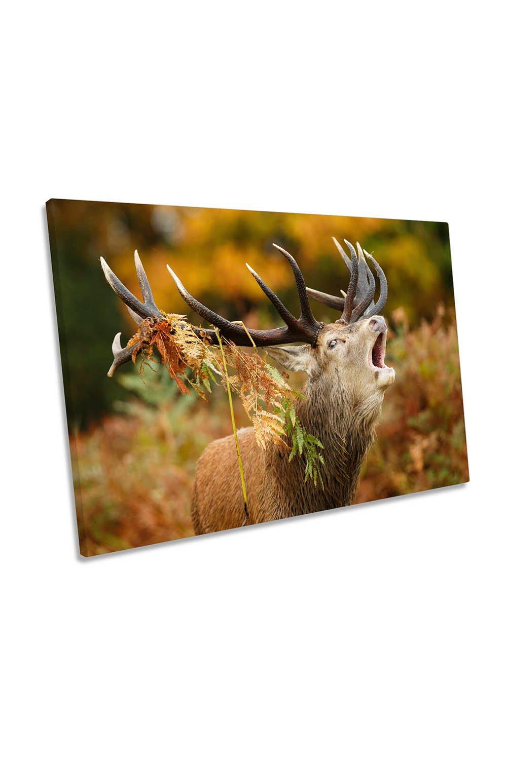 The Rut Antlers Stag Wildlife Deer Canvas Wall Art Picture Print