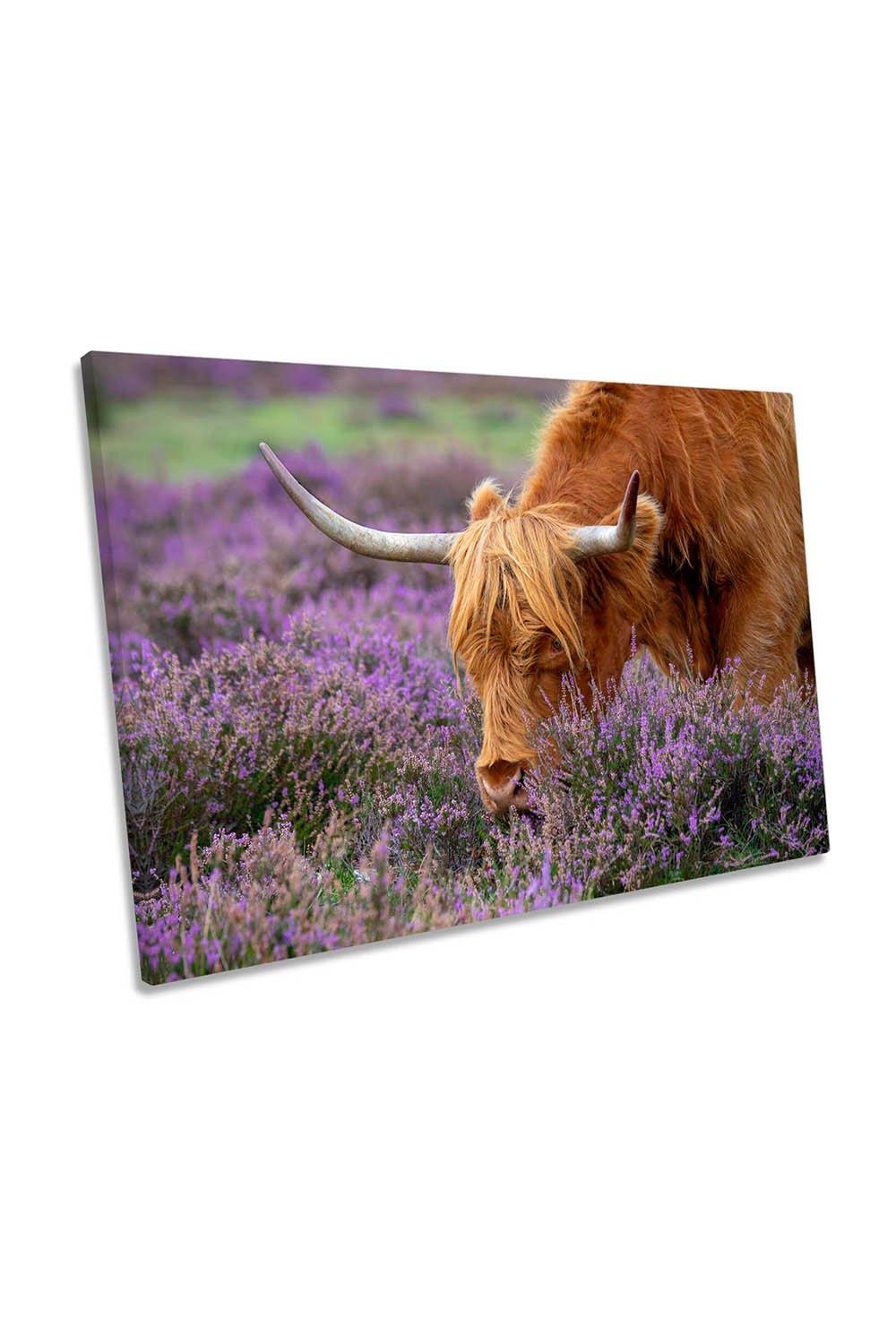 Highland Cow Graze Scottish Canvas Wall Art Picture Print