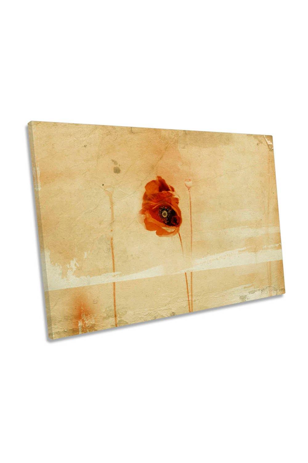 Fragment Vintage Red Poppy Flower Canvas Wall Art Picture Print