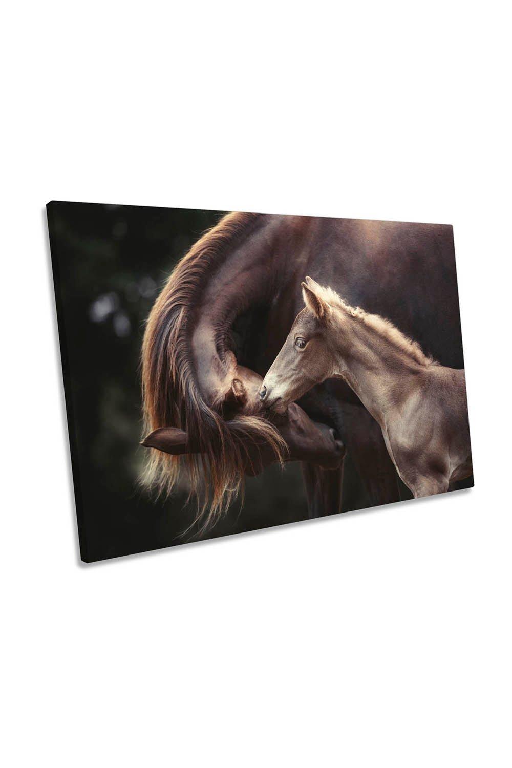The Bond Horse Family Foal Canvas Wall Art Picture Print