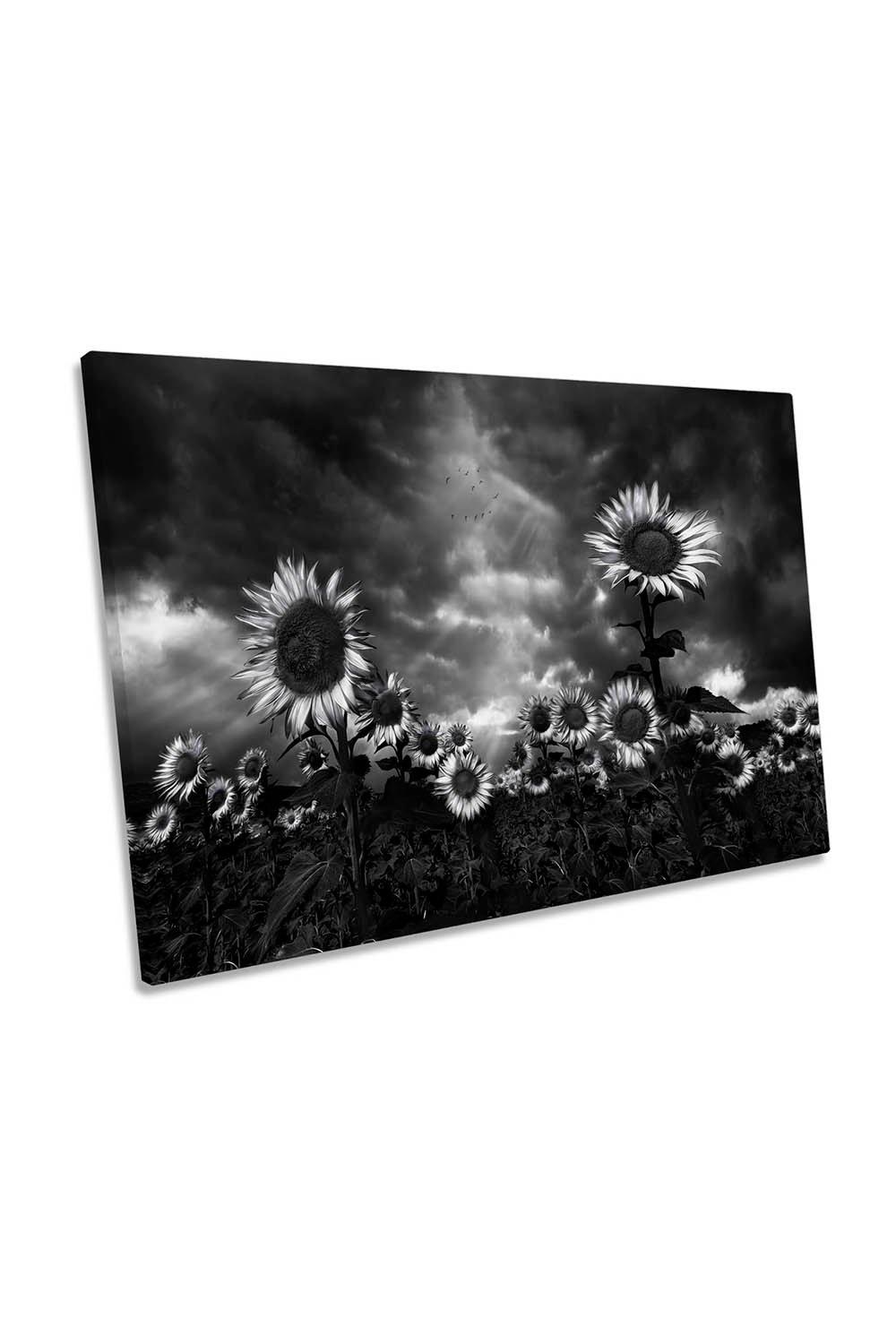 Sunflowers Floral Black and White Canvas Wall Art Picture Print