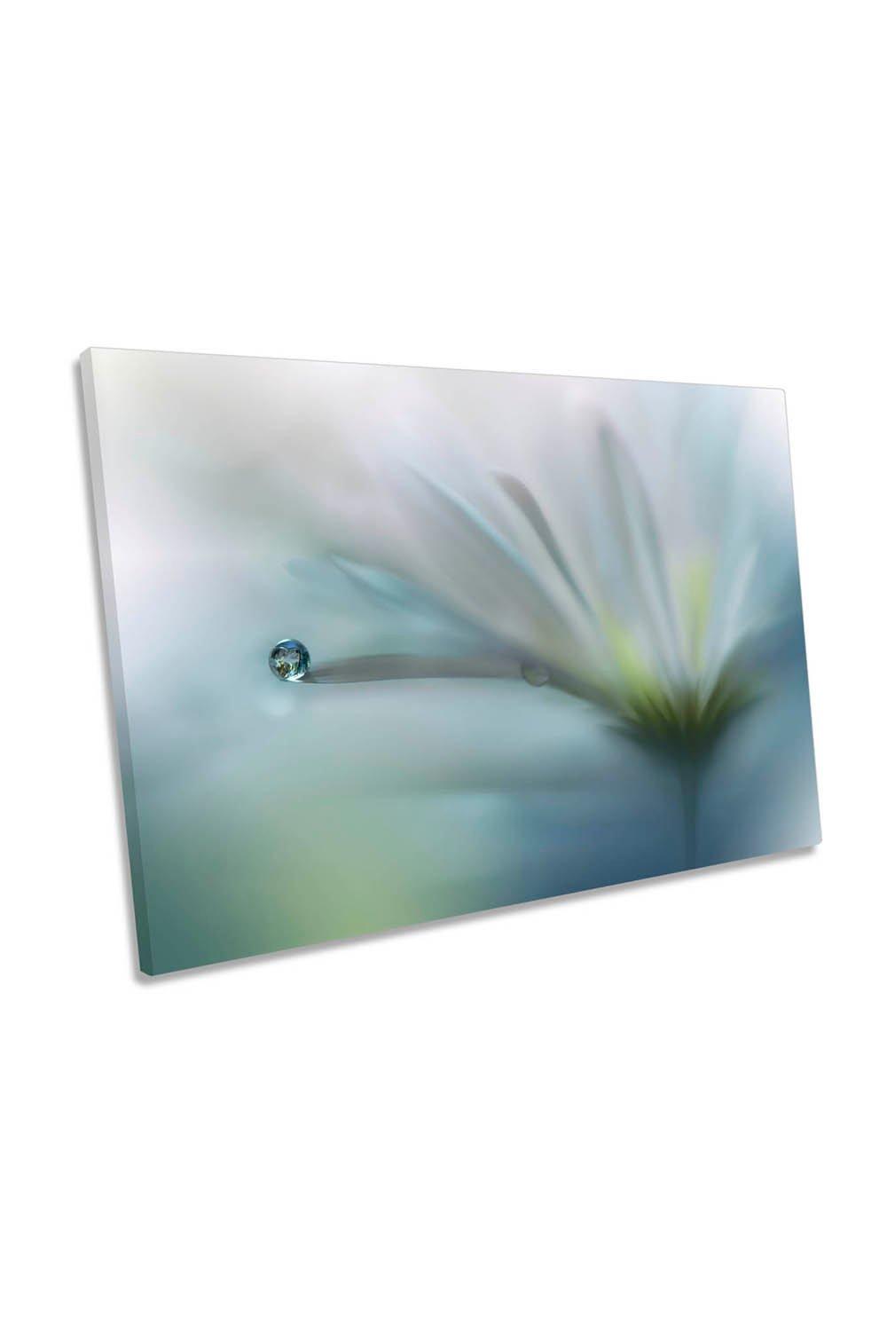 Field of Hope Flower Floral Water Drop Canvas Wall Art Picture Print