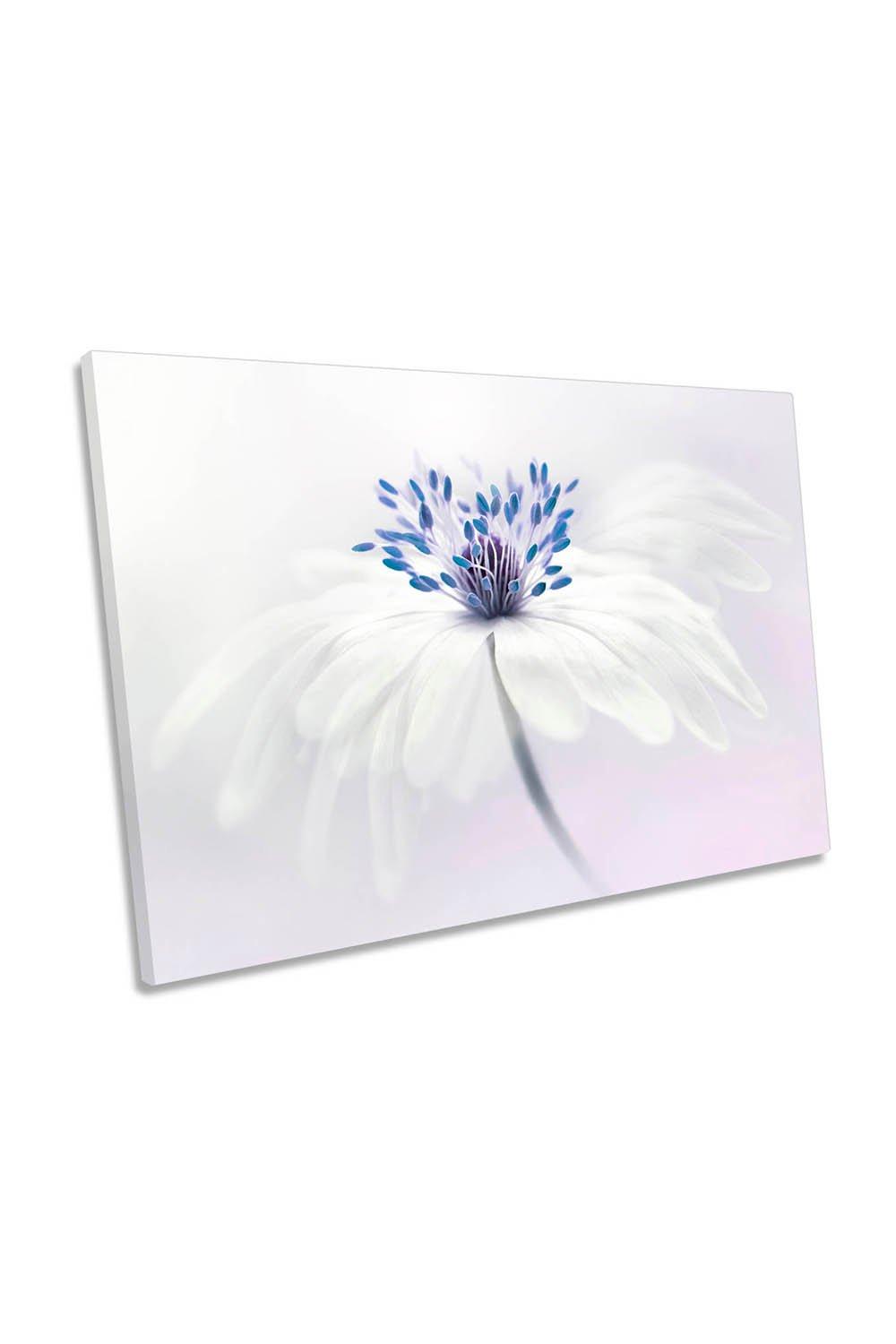 Anemone Blanda Soft Flower White Canvas Wall Art Picture Print