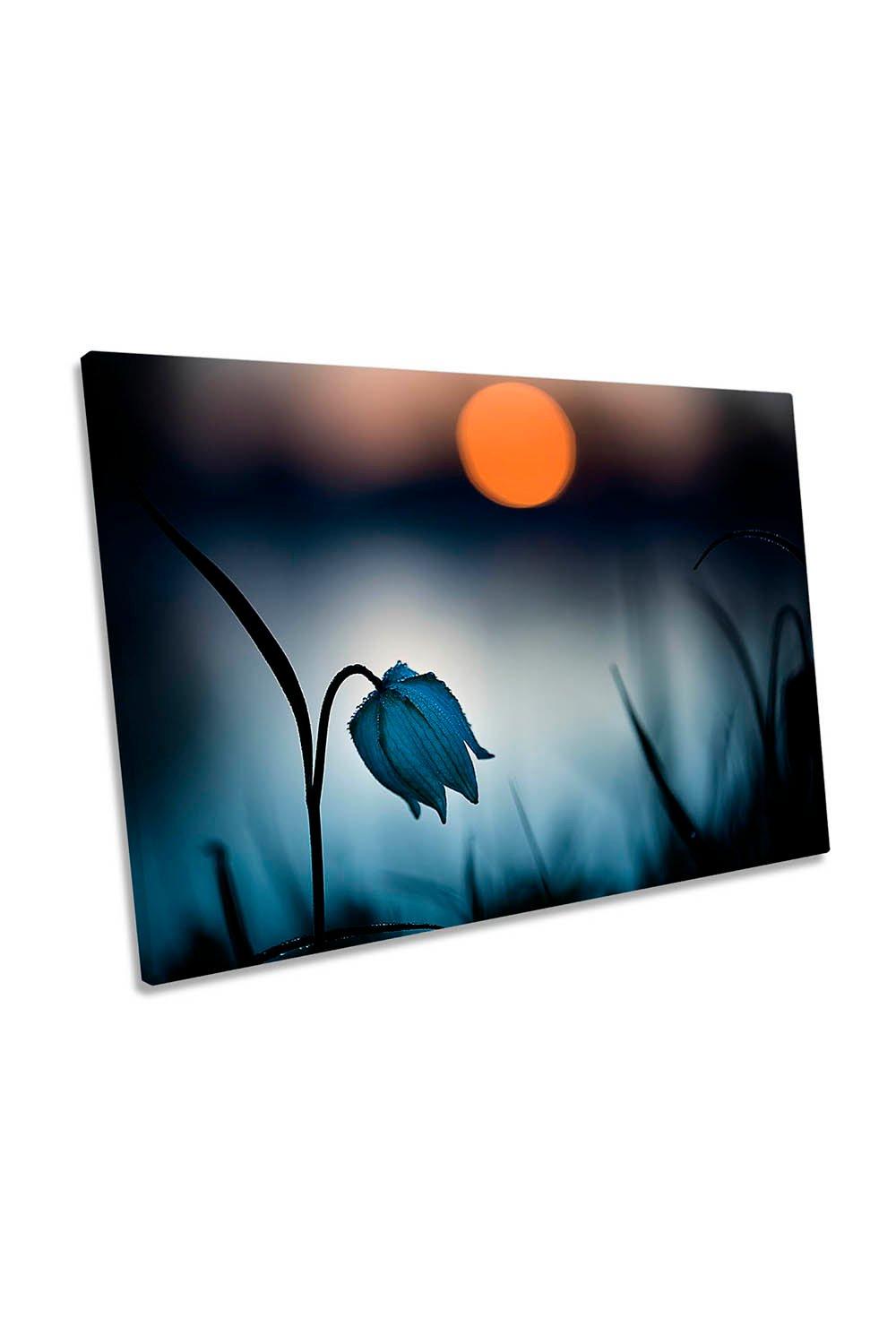 Rising Sun Dew Blue Flower Sunset Canvas Wall Art Picture Print