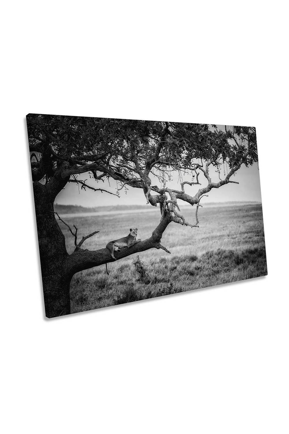 The Queen Lion Lioness Tree Wildlife Canvas Wall Art Picture Print