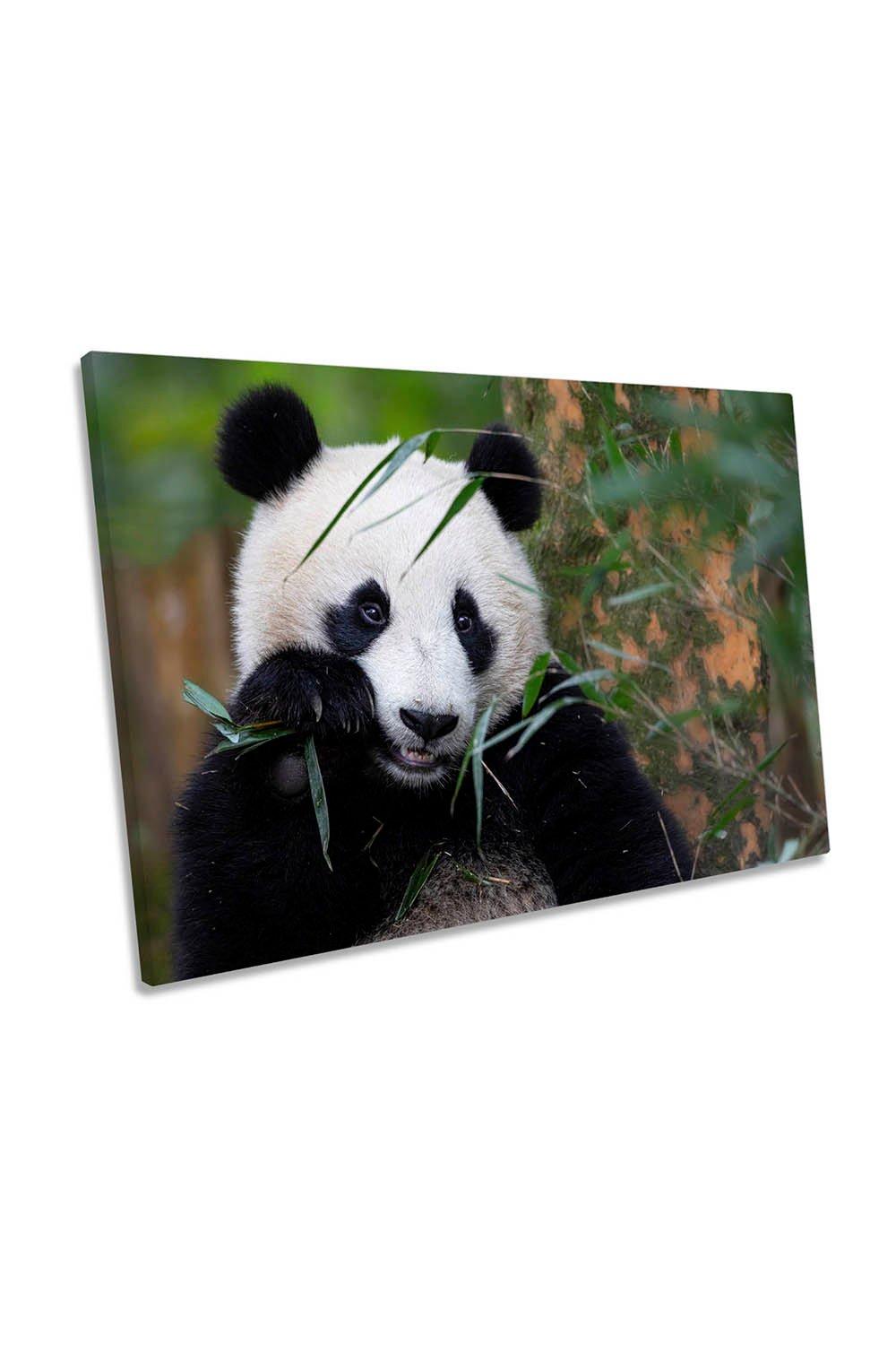 Bamboo Time Panda Cute Canvas Wall Art Picture Print