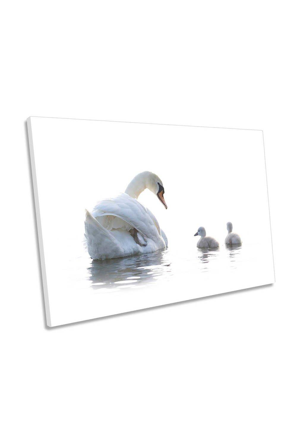Mother Swan Ducklings Family Canvas Wall Art Picture Print