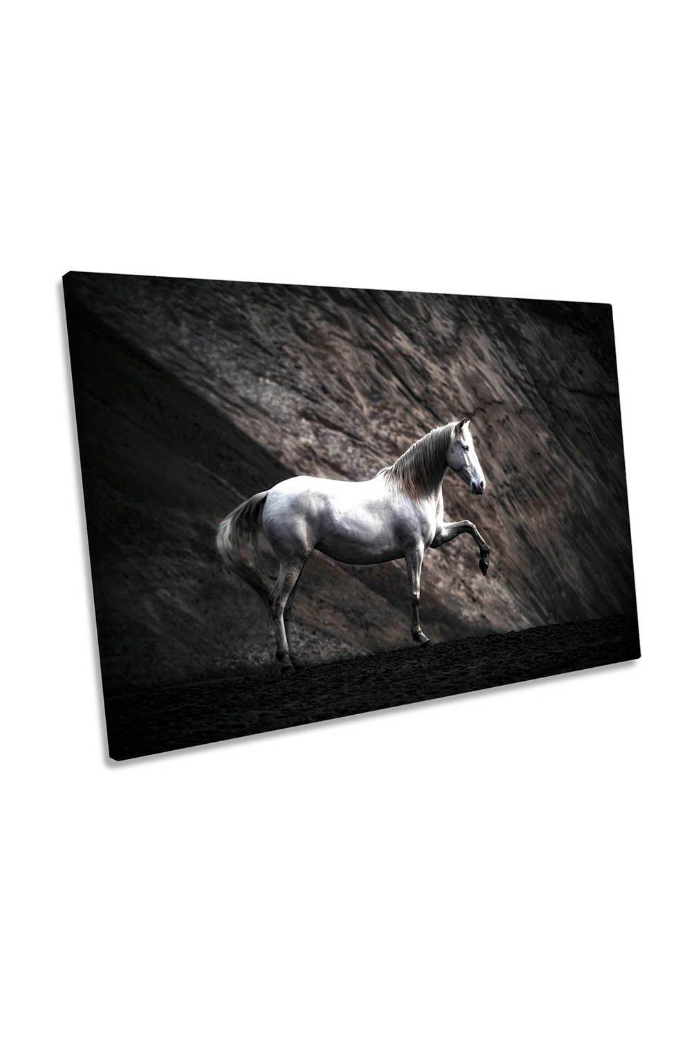 Solitaire White Horse Pose Canvas Wall Art Picture Print