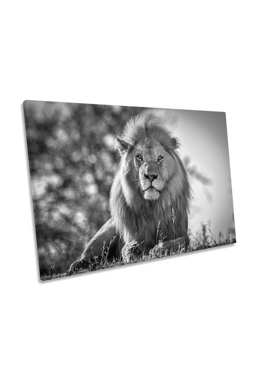 Monochromatic Lion King Wildlife Canvas Wall Art Picture Print