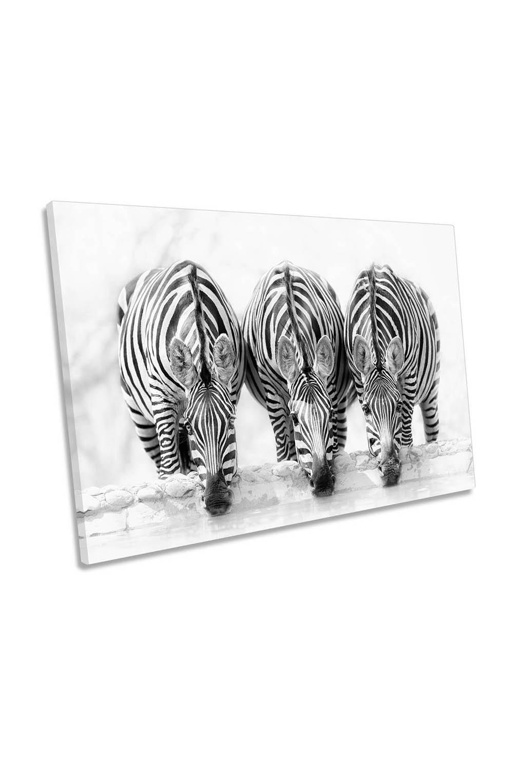 Drinking Zebras Black and White Waterhole Canvas Wall Art Picture Print