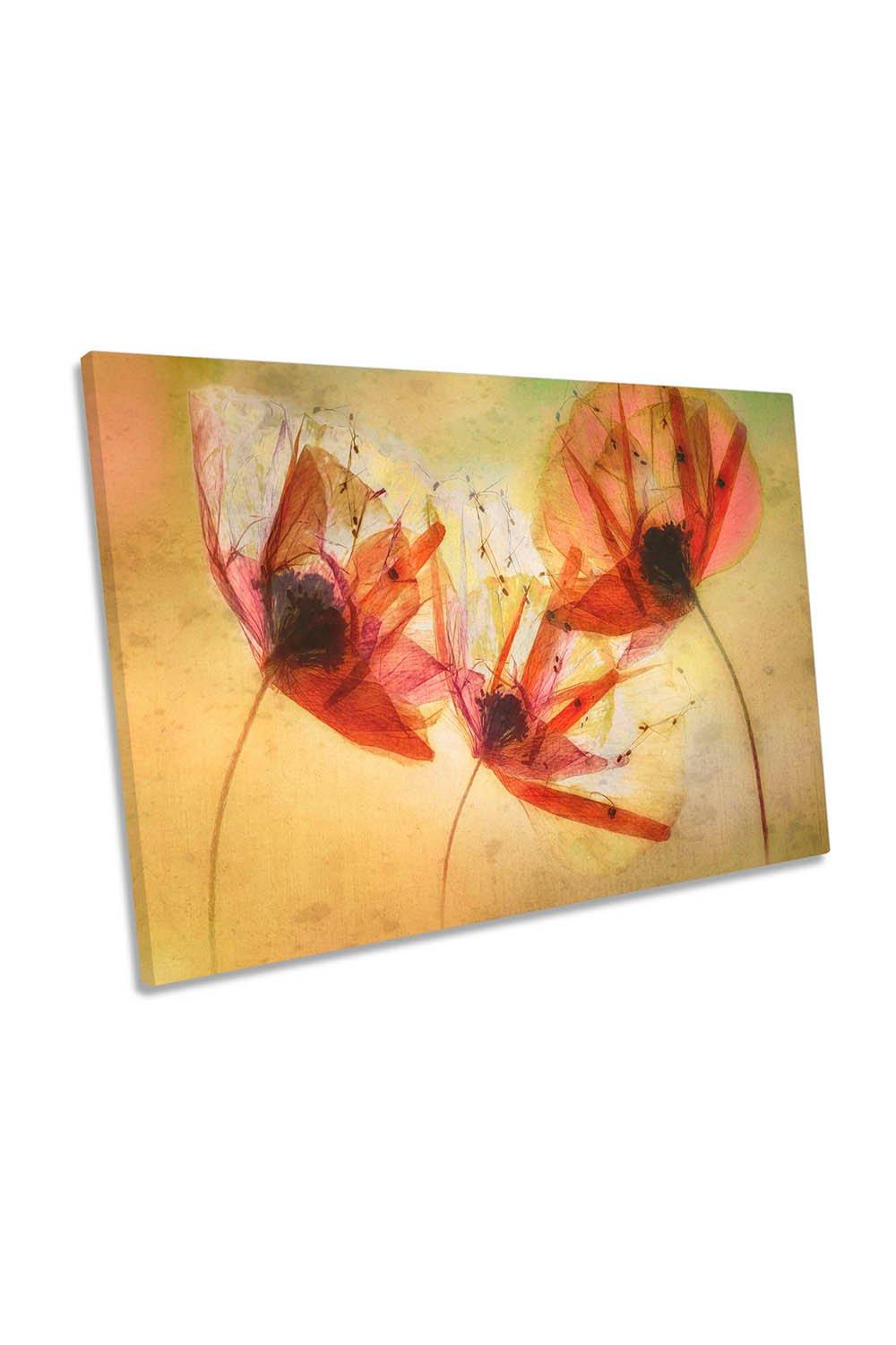 Red Poppy Seeds Distressed Flower Canvas Wall Art Picture Print