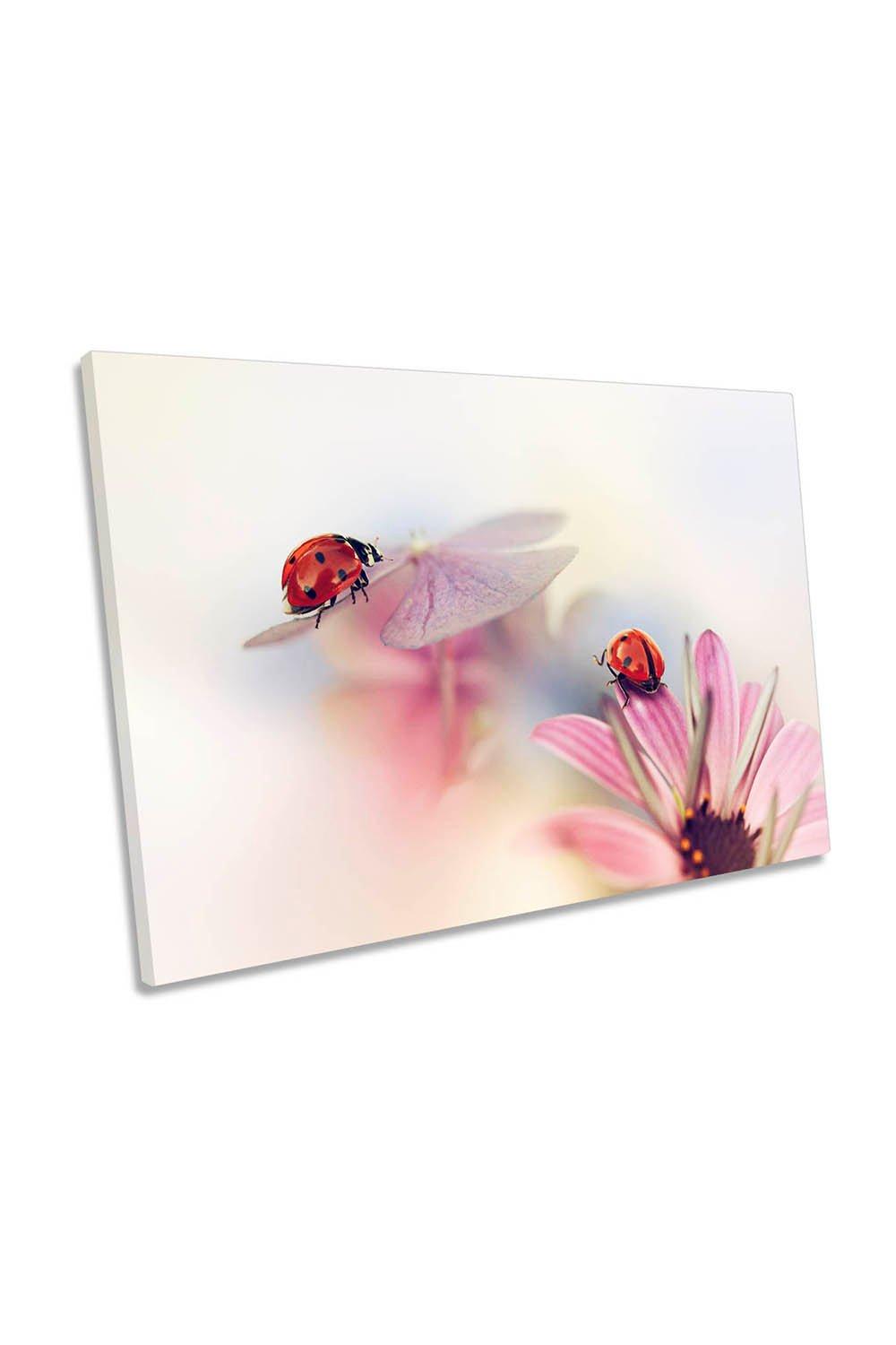 Last Days of Summer Ladybird Flower Canvas Wall Art Picture Print