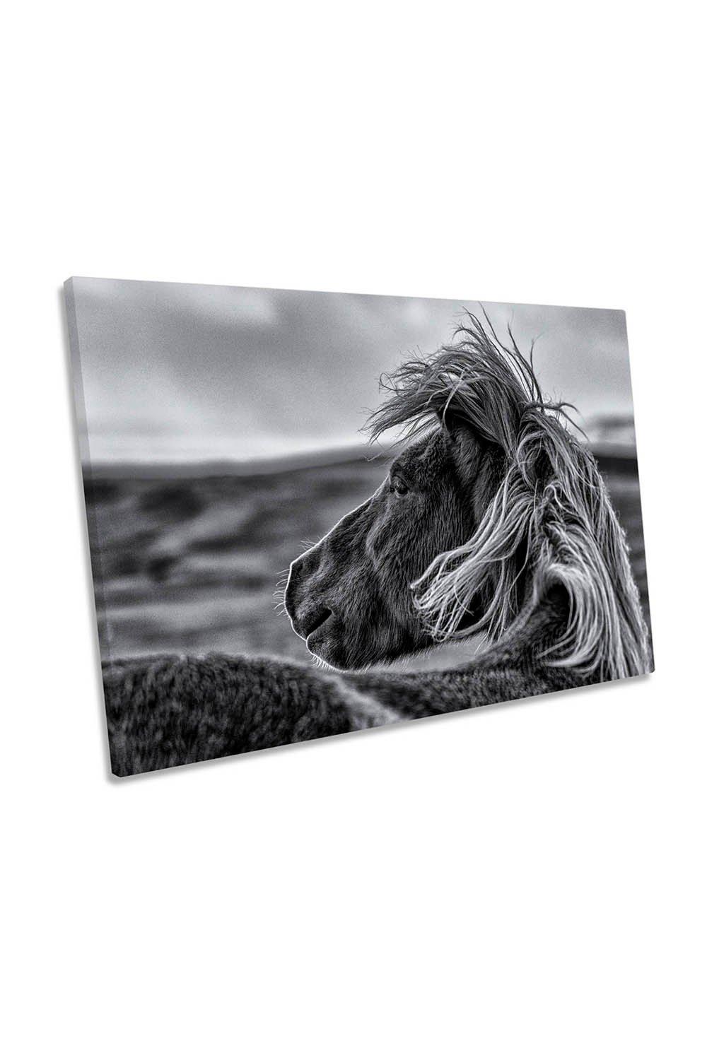 Glance Back Horse Animal Canvas Wall Art Picture Print