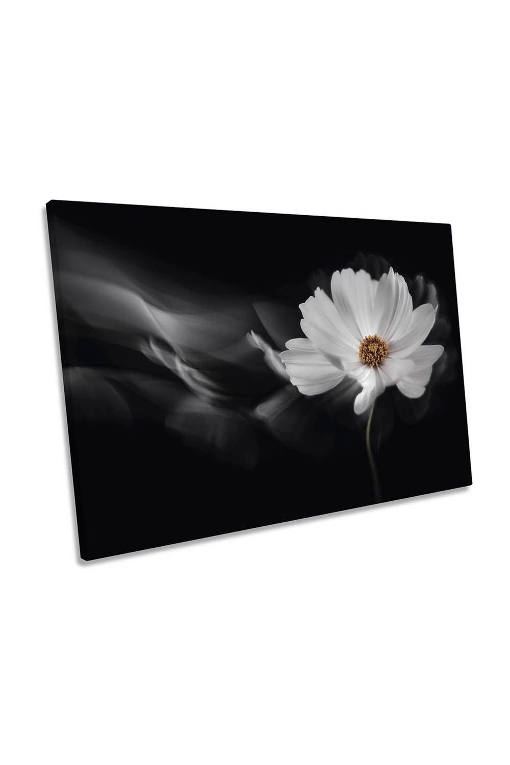 Symphony White Flower Black Background Canvas Wall Art Picture Print