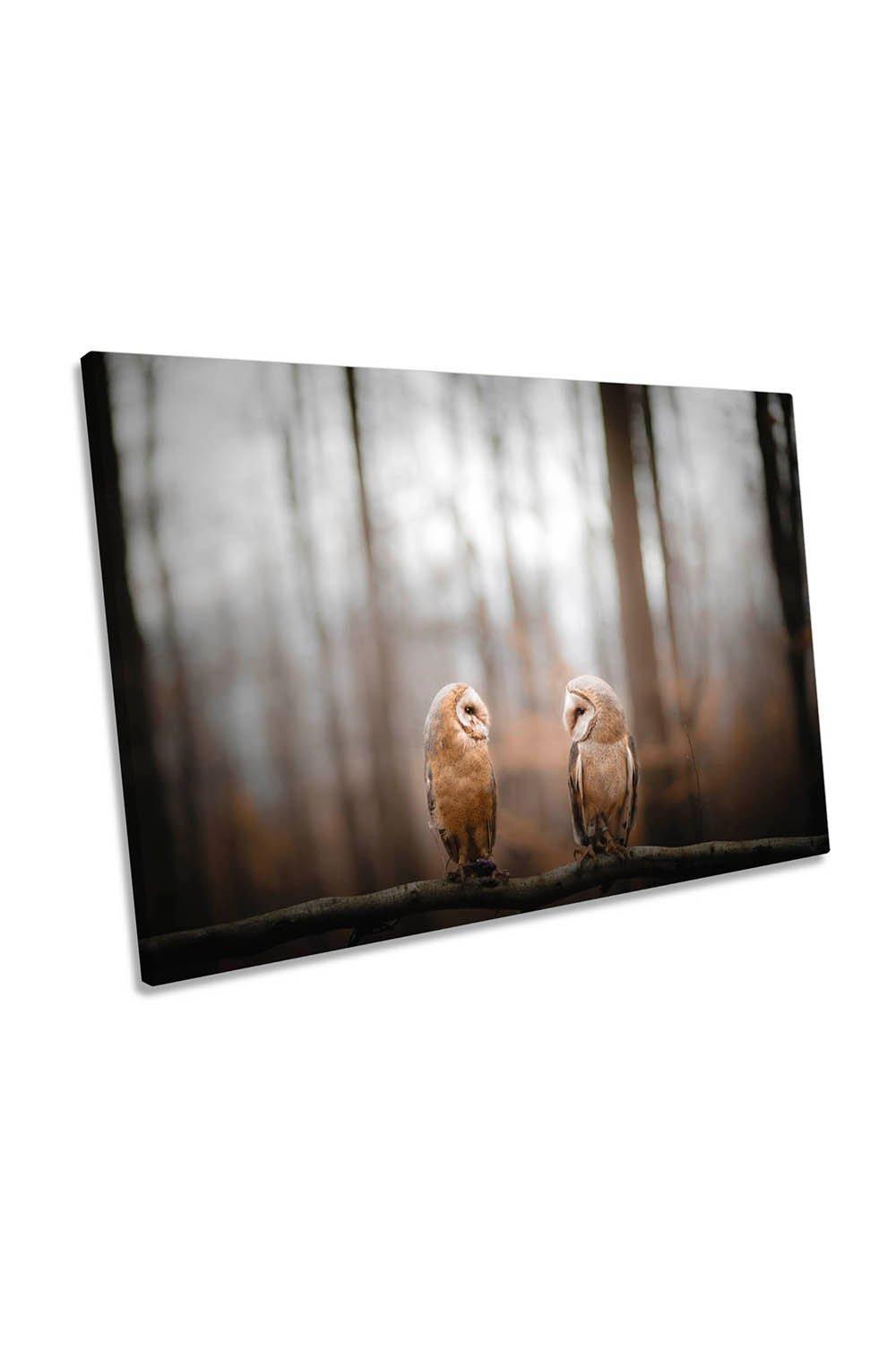 Love is in the Air Barn Owls Brown Canvas Wall Art Picture Print
