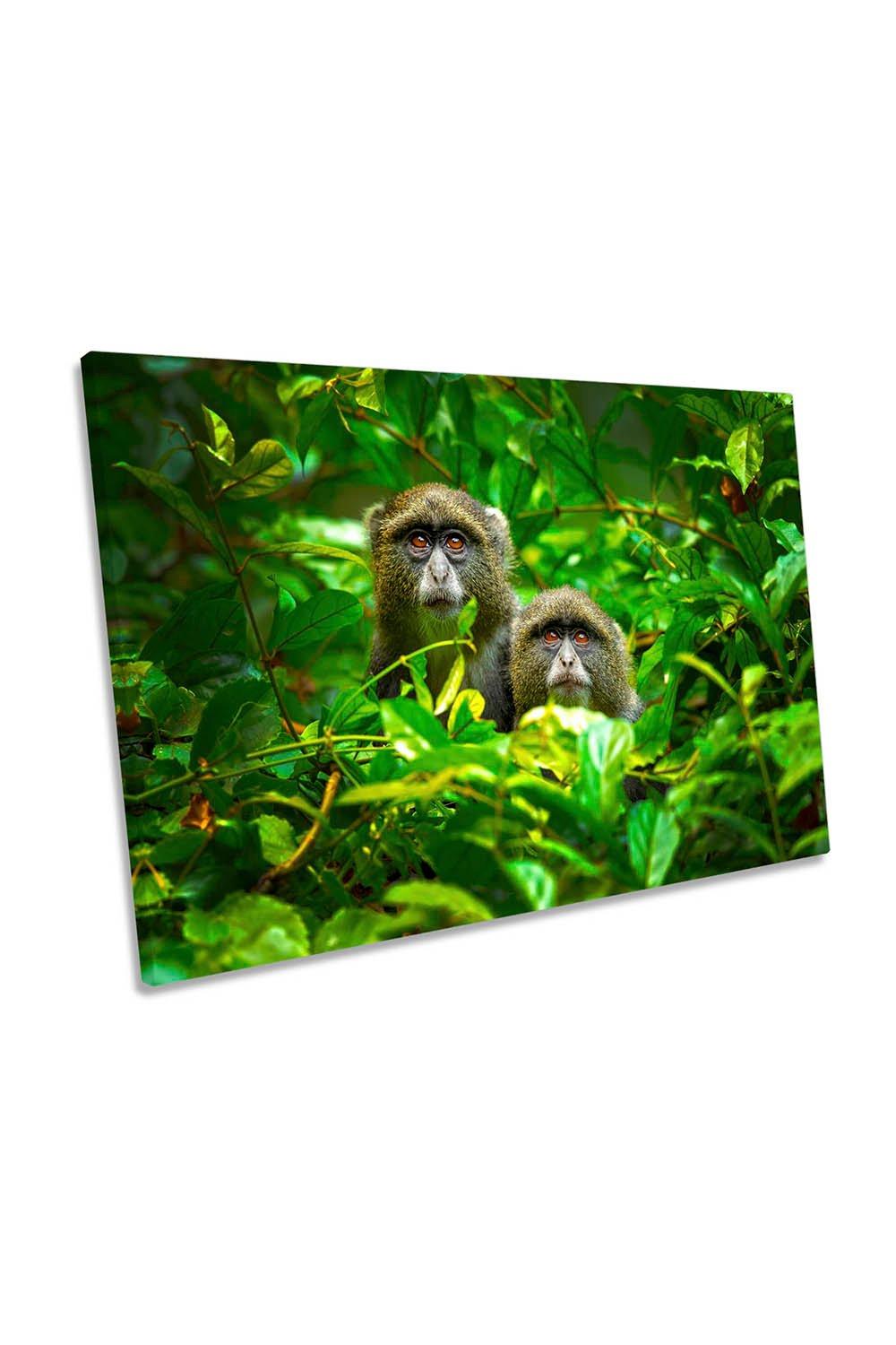 Monkeys Watching Green Jungle Canvas Wall Art Picture Print